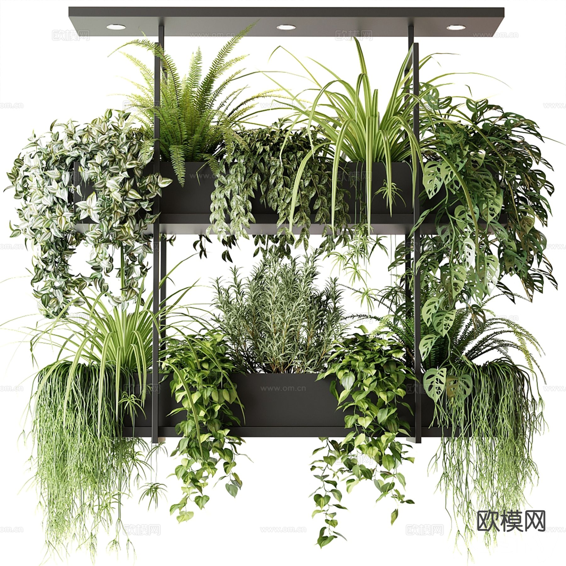 现代吊篮 植物盆栽3d模型下载