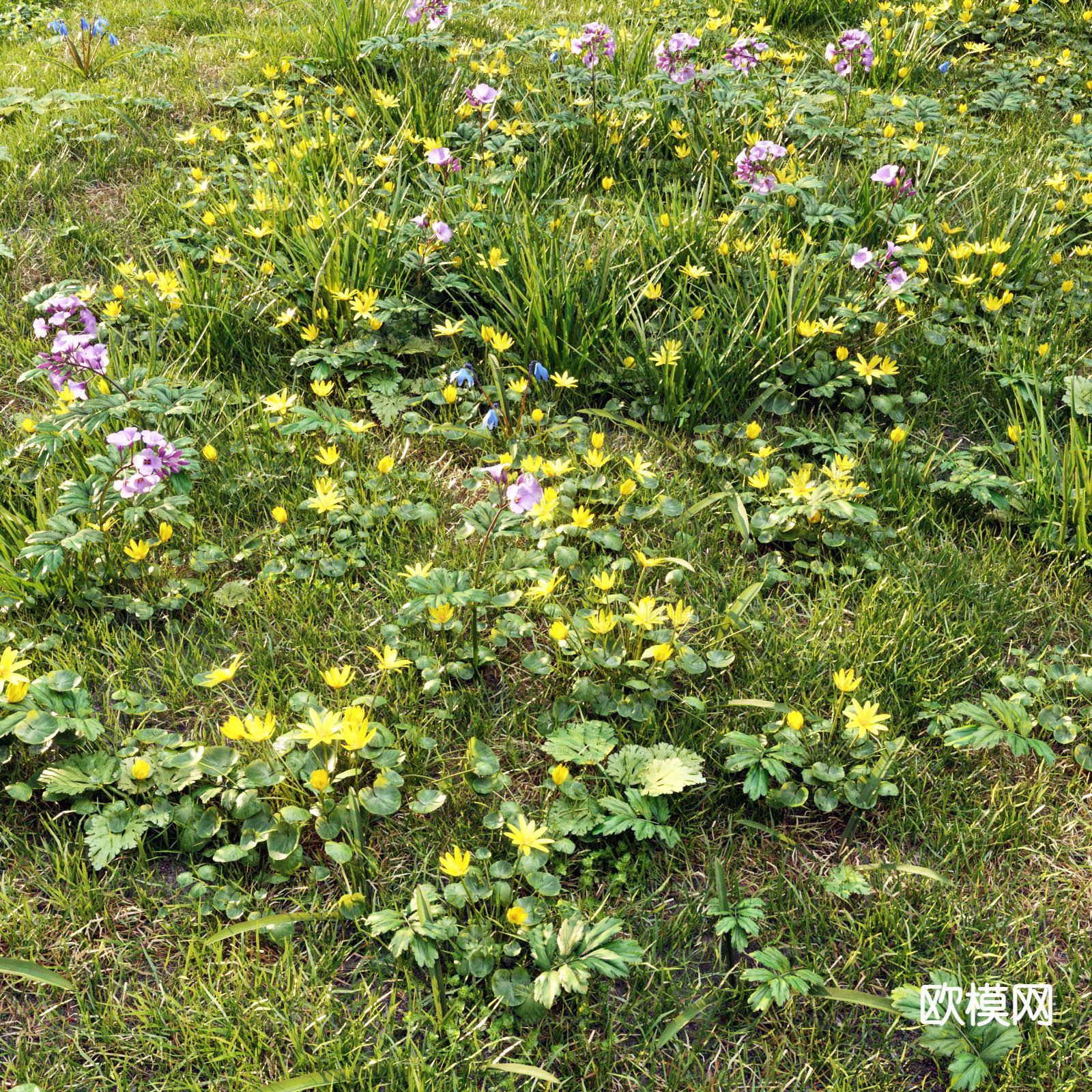 野外草地 草坪 野草杂草 花草3d模型