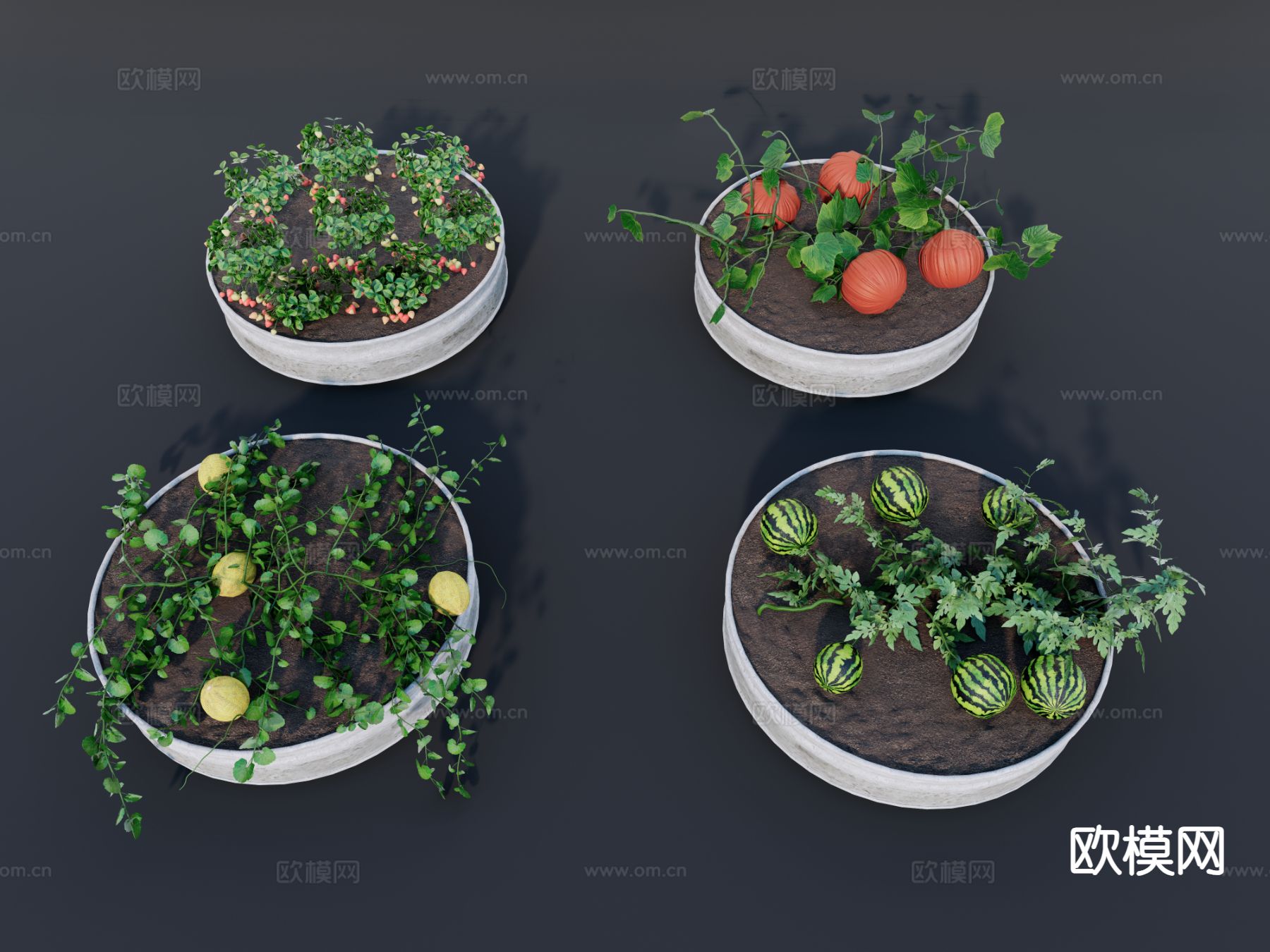 农作物 瓜果 蔬菜su模型下载（渲染图2）