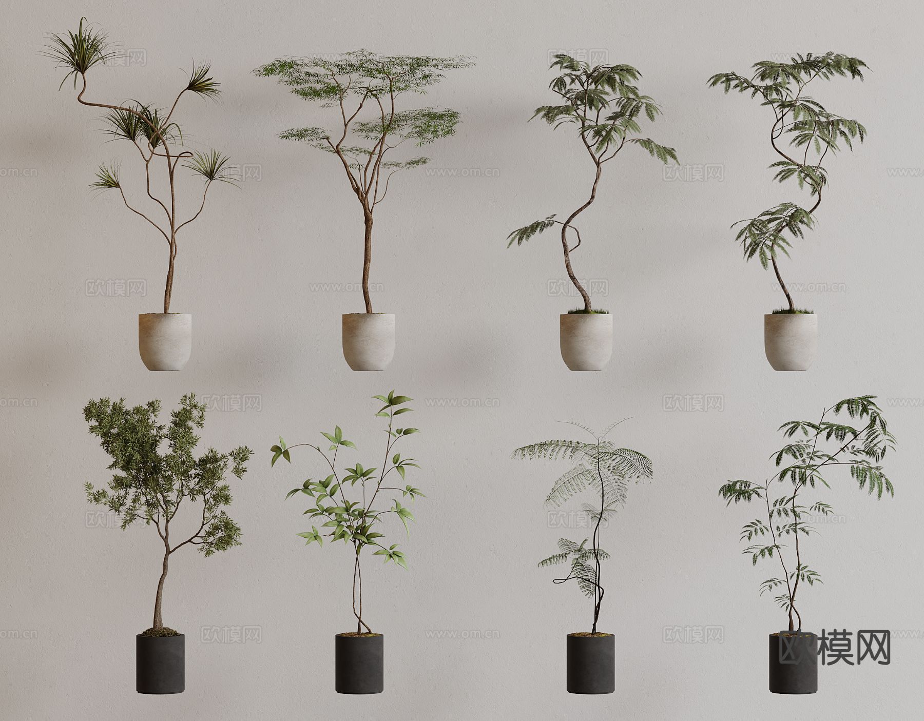 现代绿植盆栽 盆景su模型下载（渲染图2）