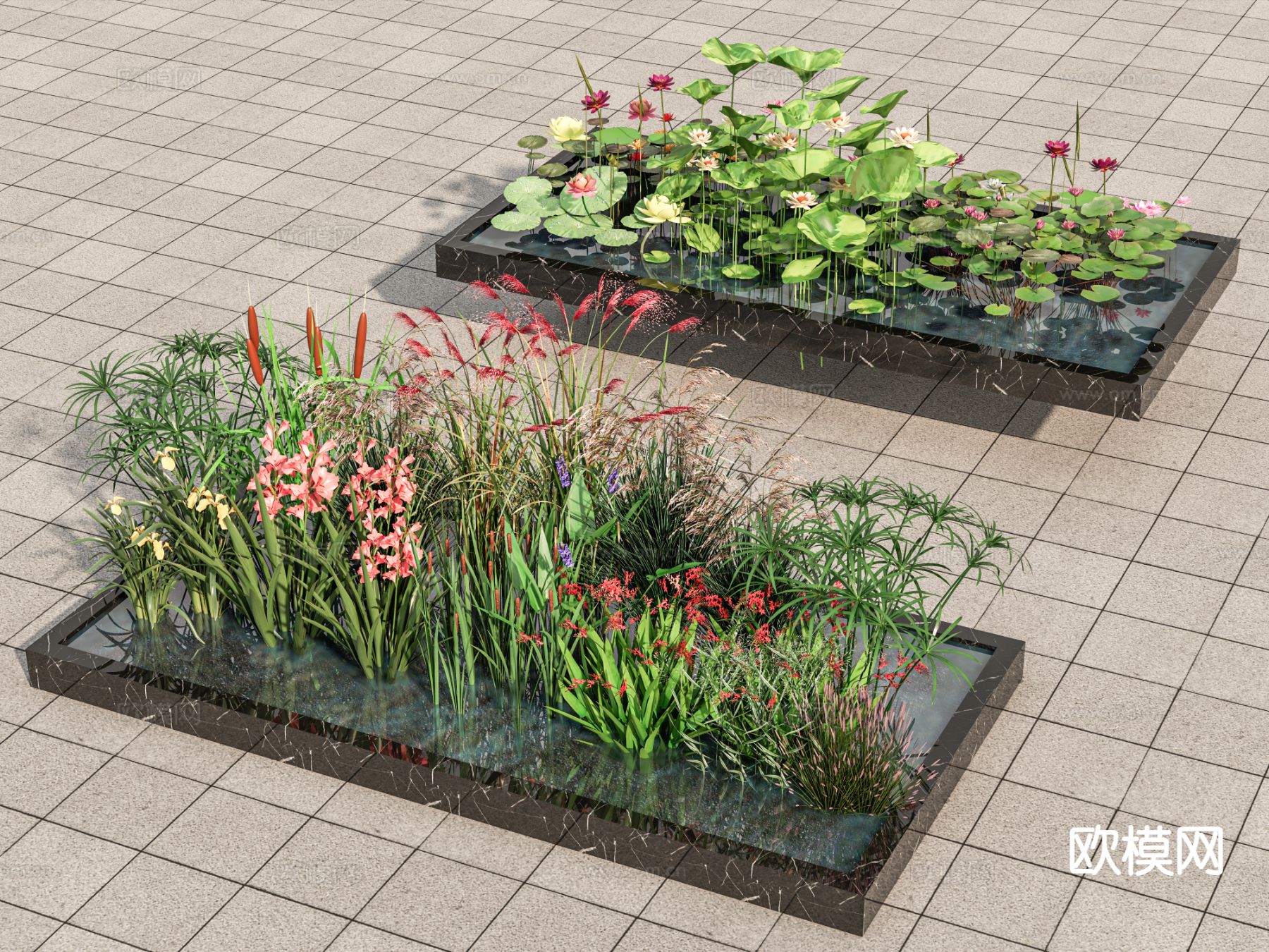 水生植物 荷花池 荷花su模型下载（渲染图2）