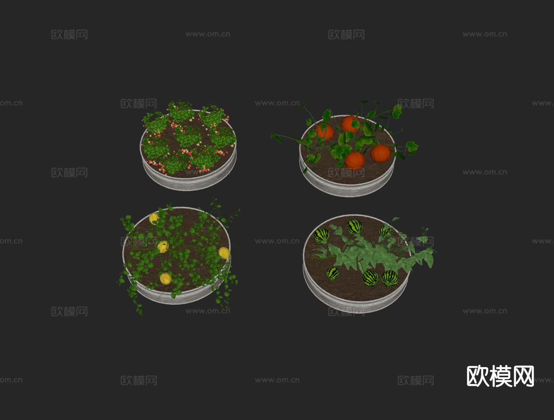 农作物 瓜果 蔬菜su模型下载（渲染图1）