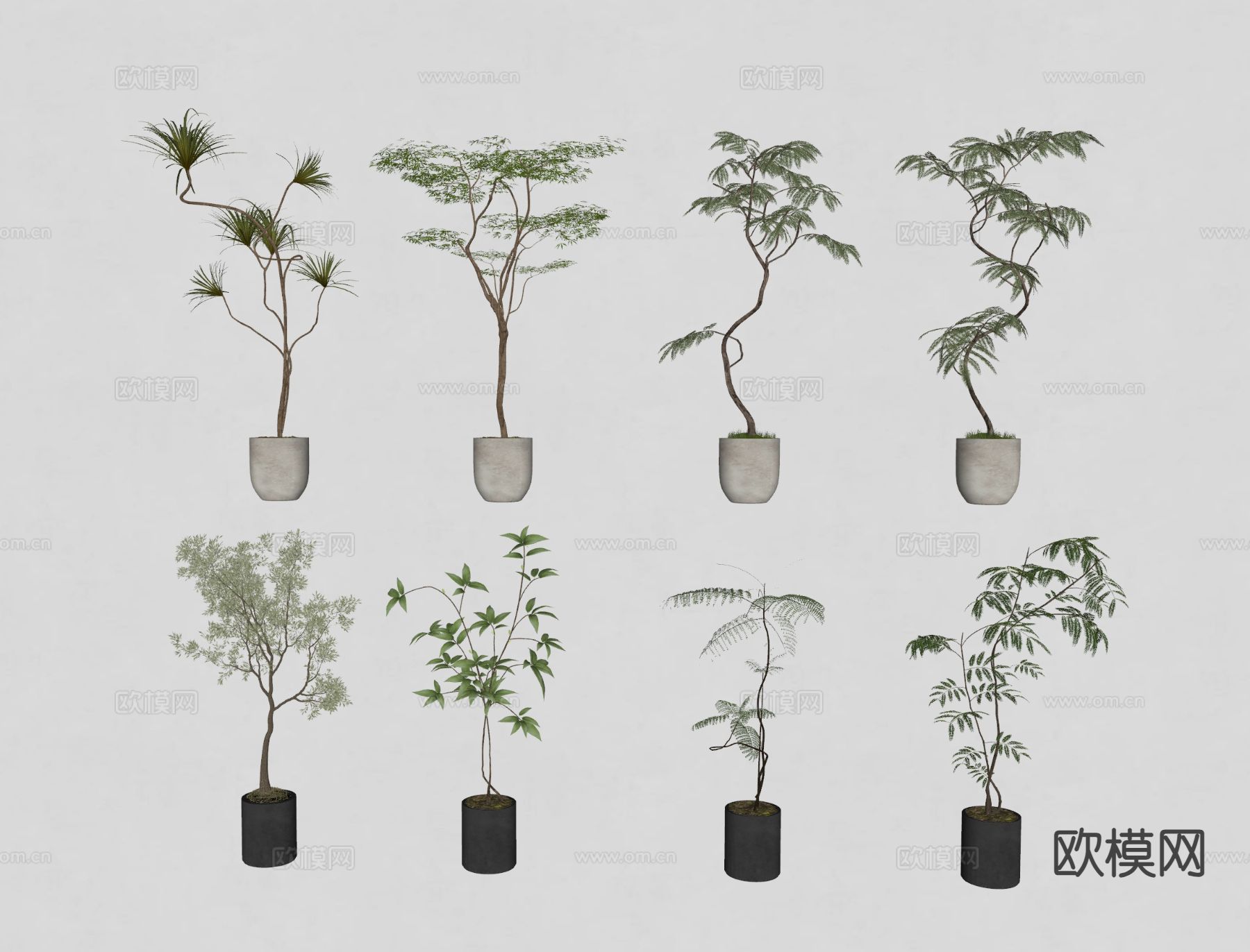 现代绿植盆栽 盆景su模型下载（渲染图1）