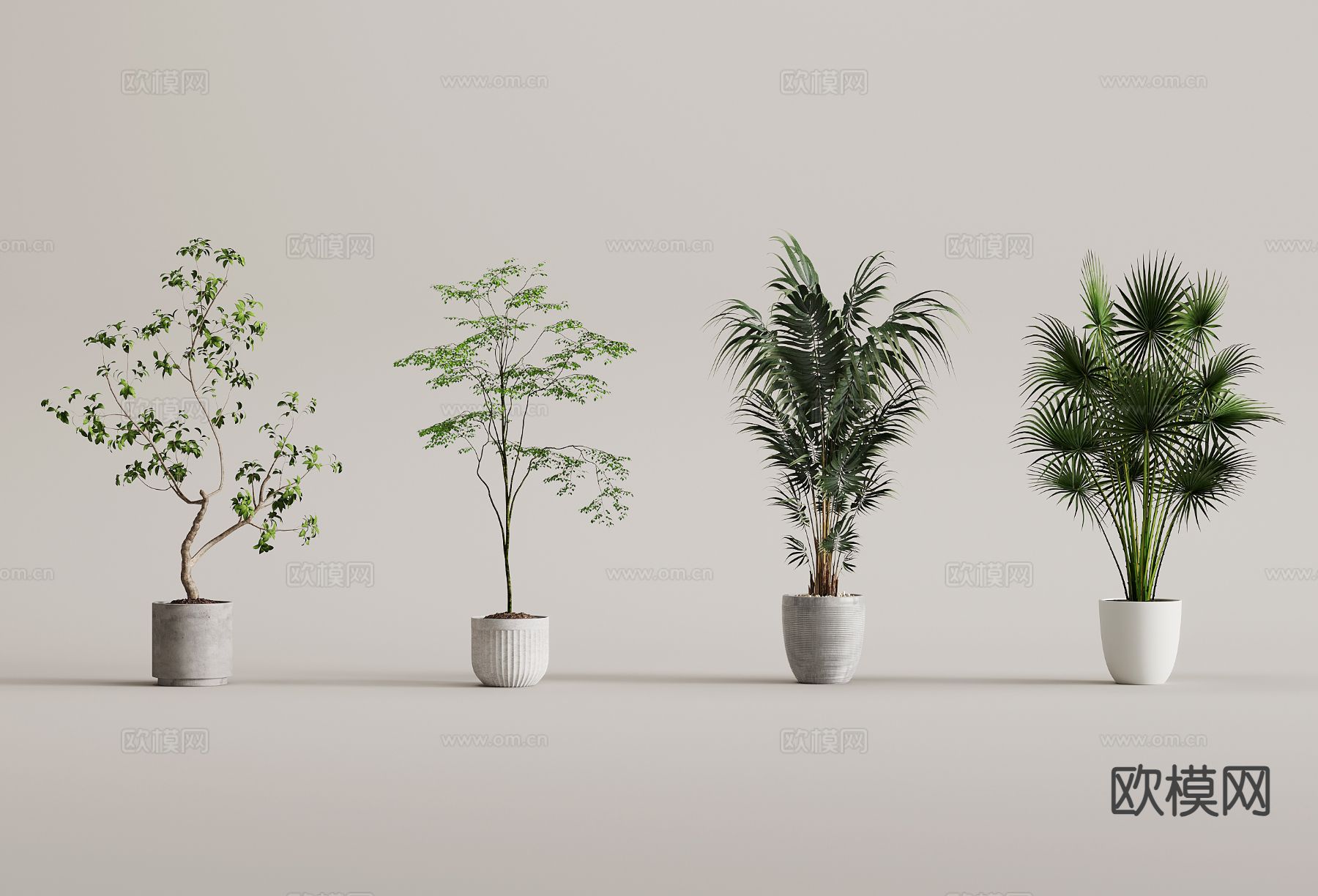 落地盆栽 盆景3d模型下载