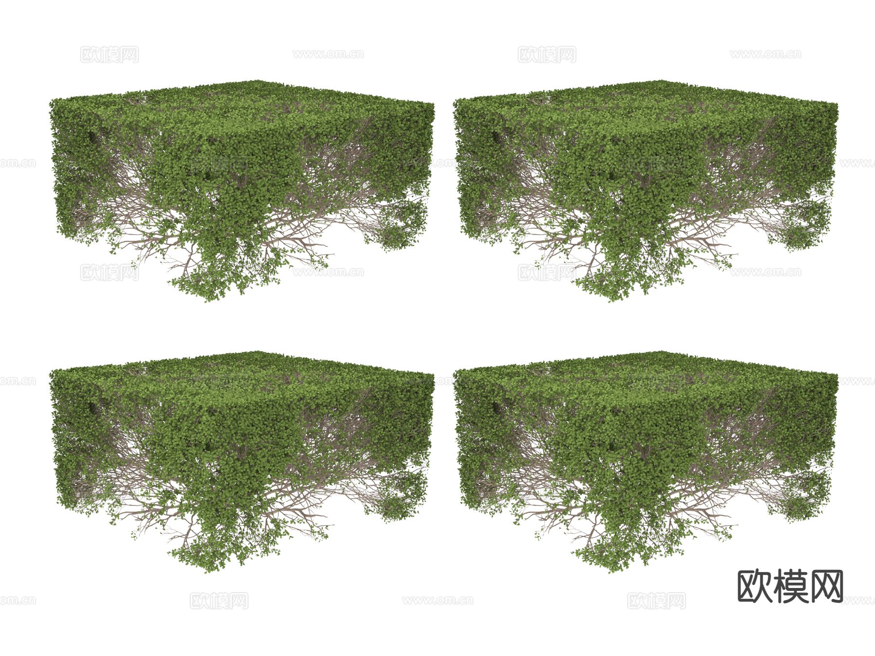 造型灌木 绿篱 灌木丛3d模型
