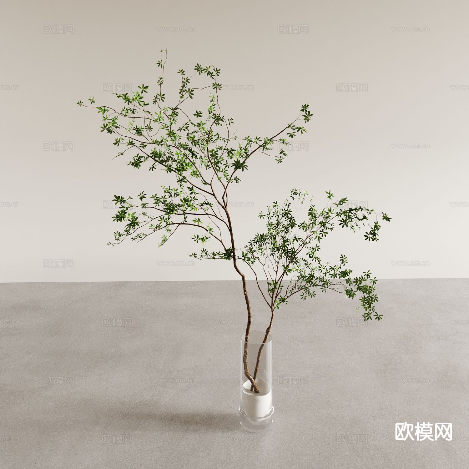 花瓶 插花 水生植物3d模型