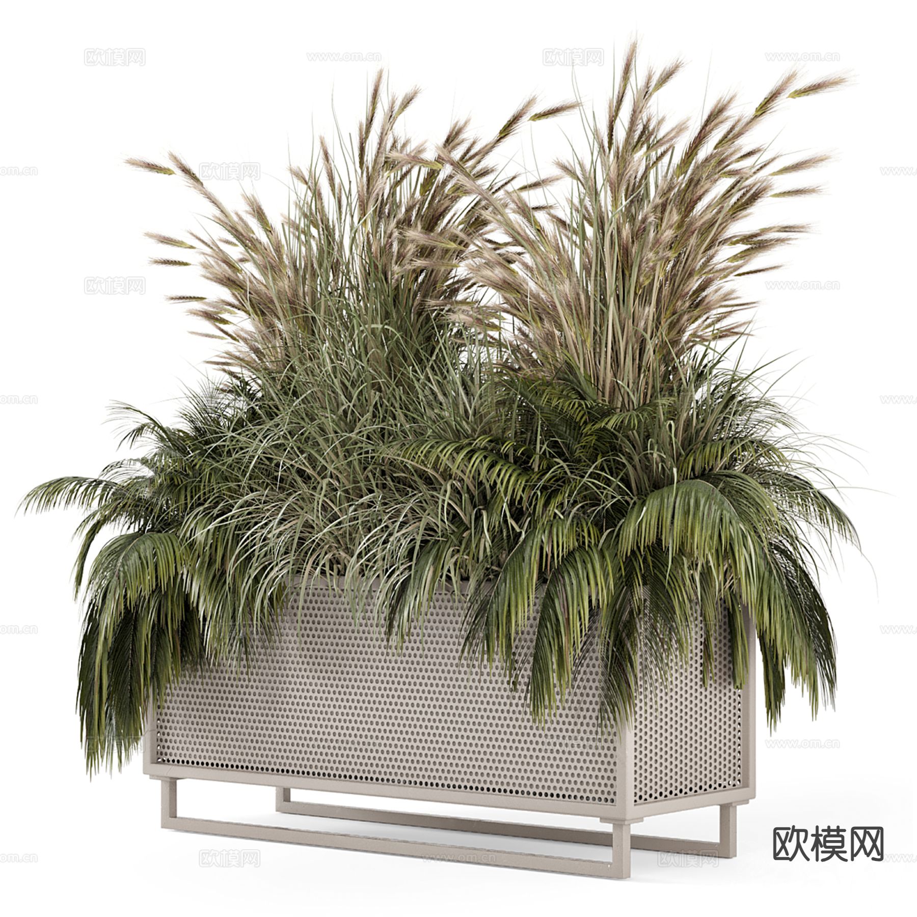 植物花箱 户外花箱 芦苇3d模型