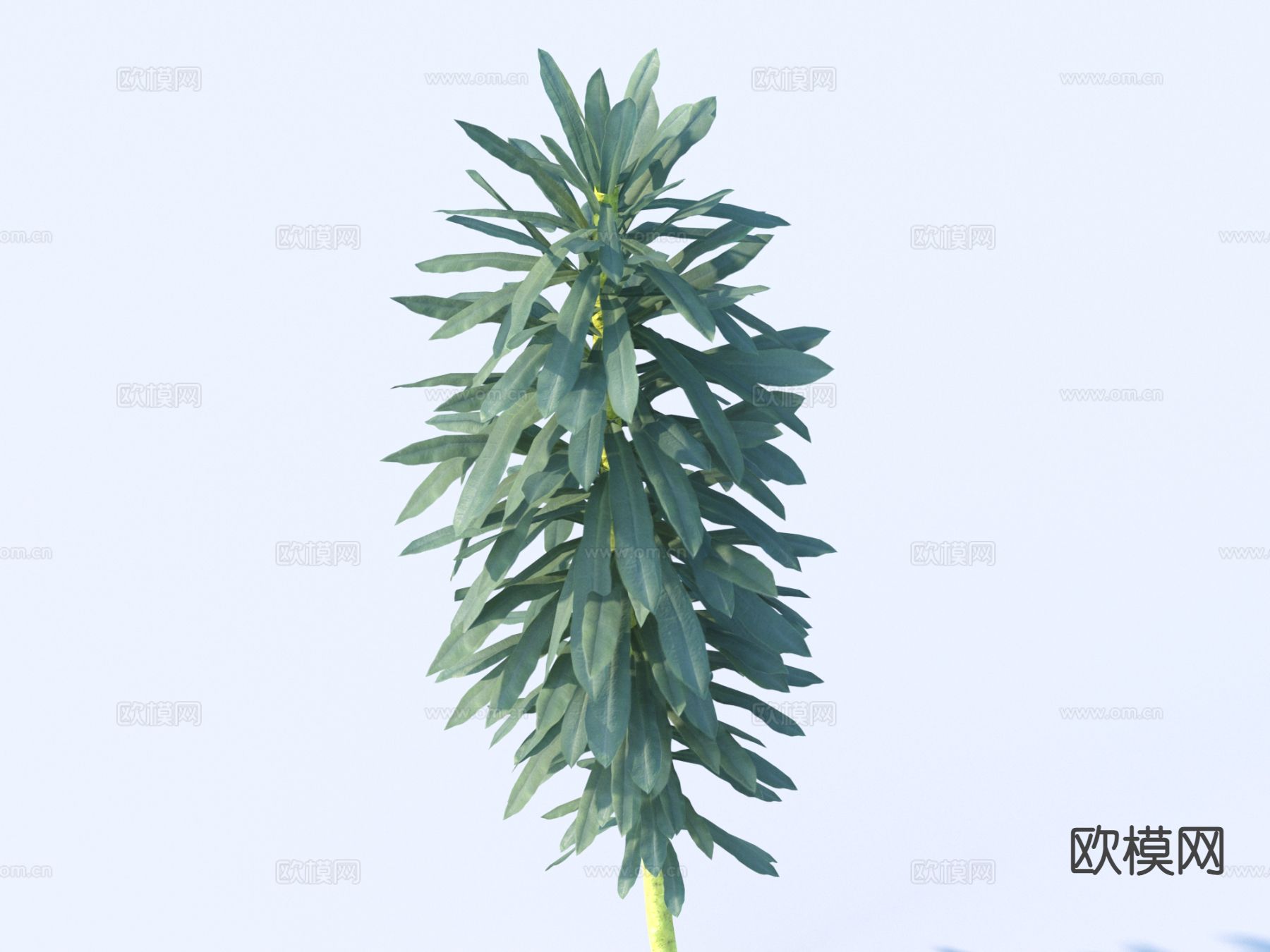 蔬菜 菜叶 树叶 食物3d模型下载