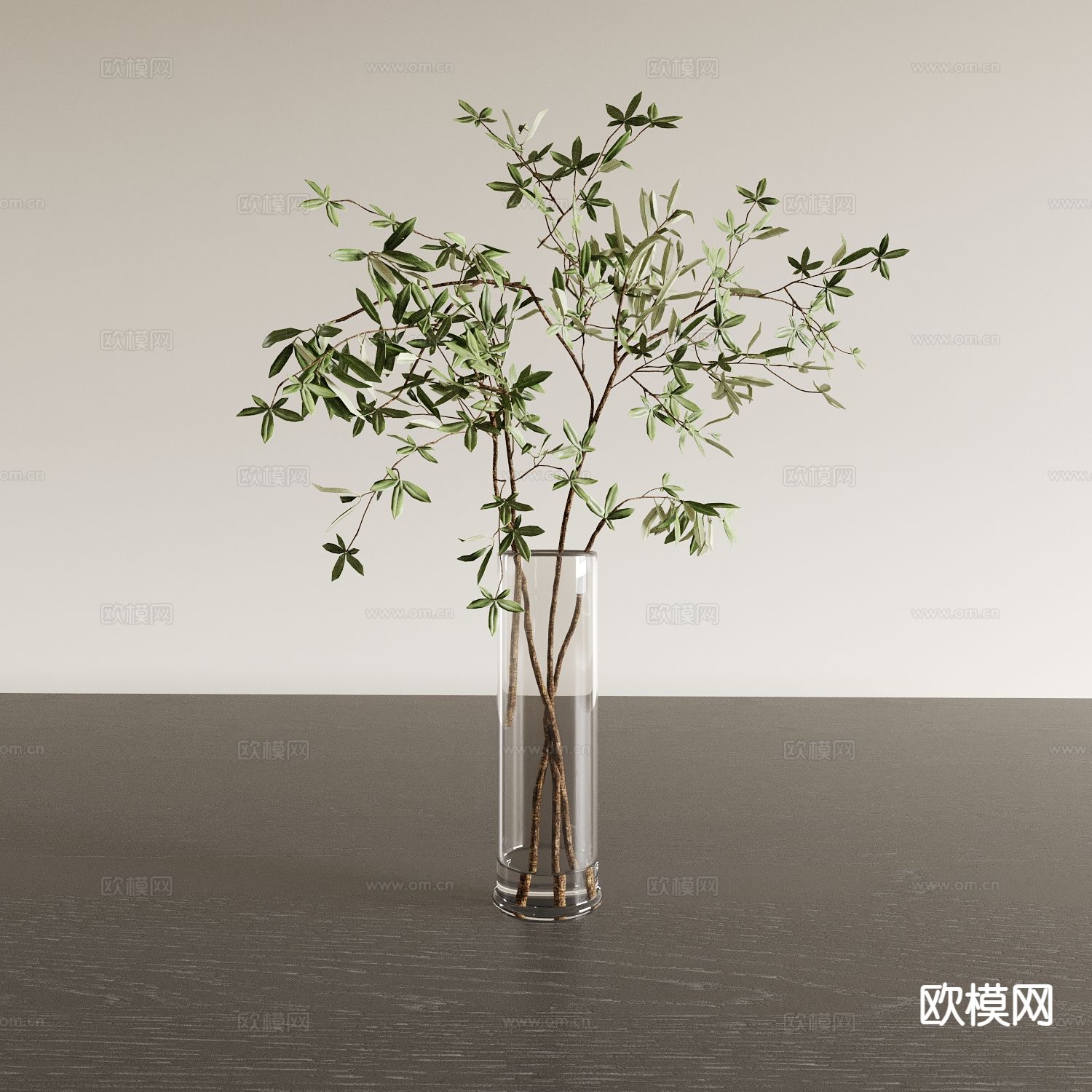 绿叶 树枝 水生植物3d模型