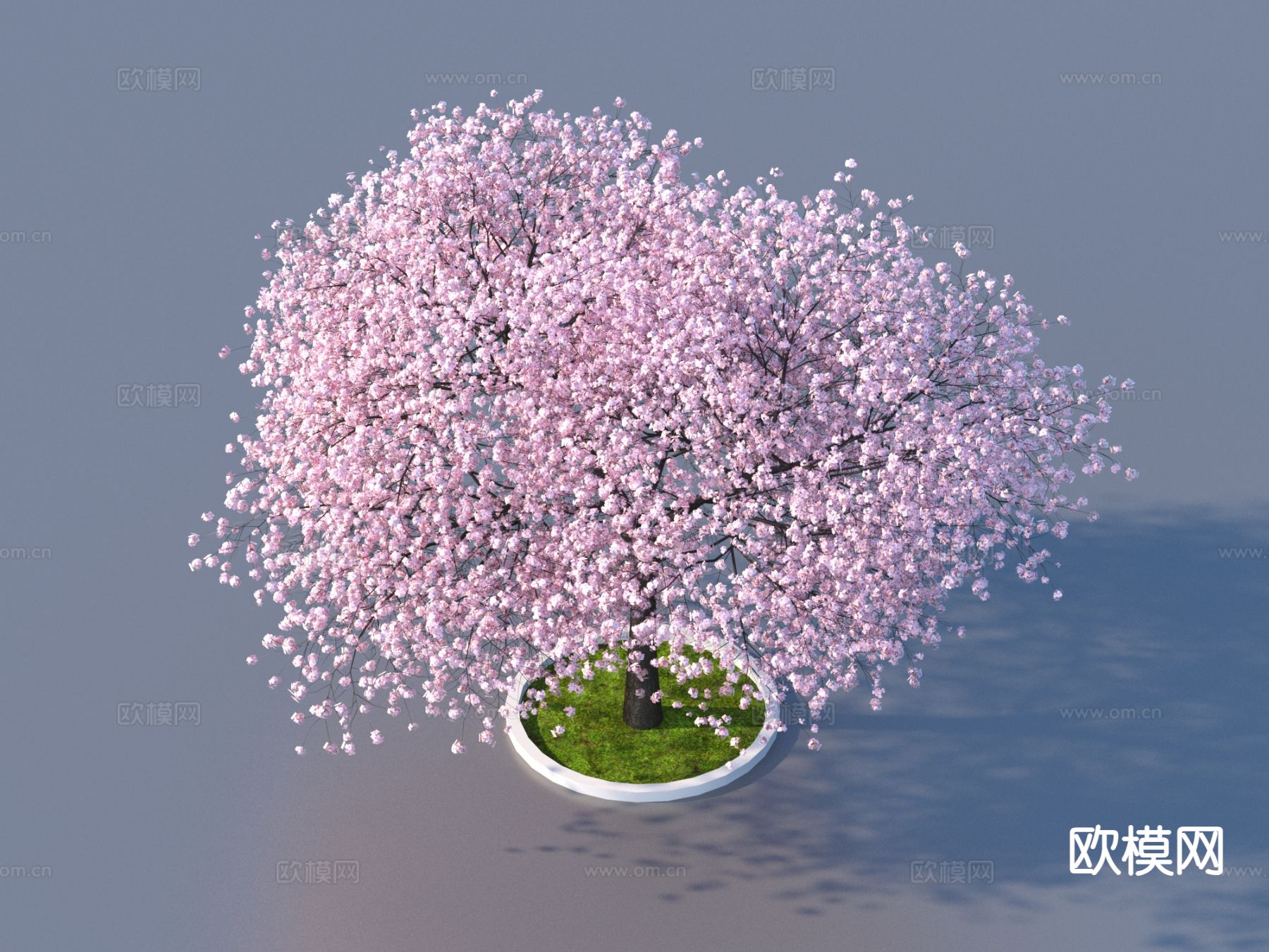 桃花树 树池 植物3d模型