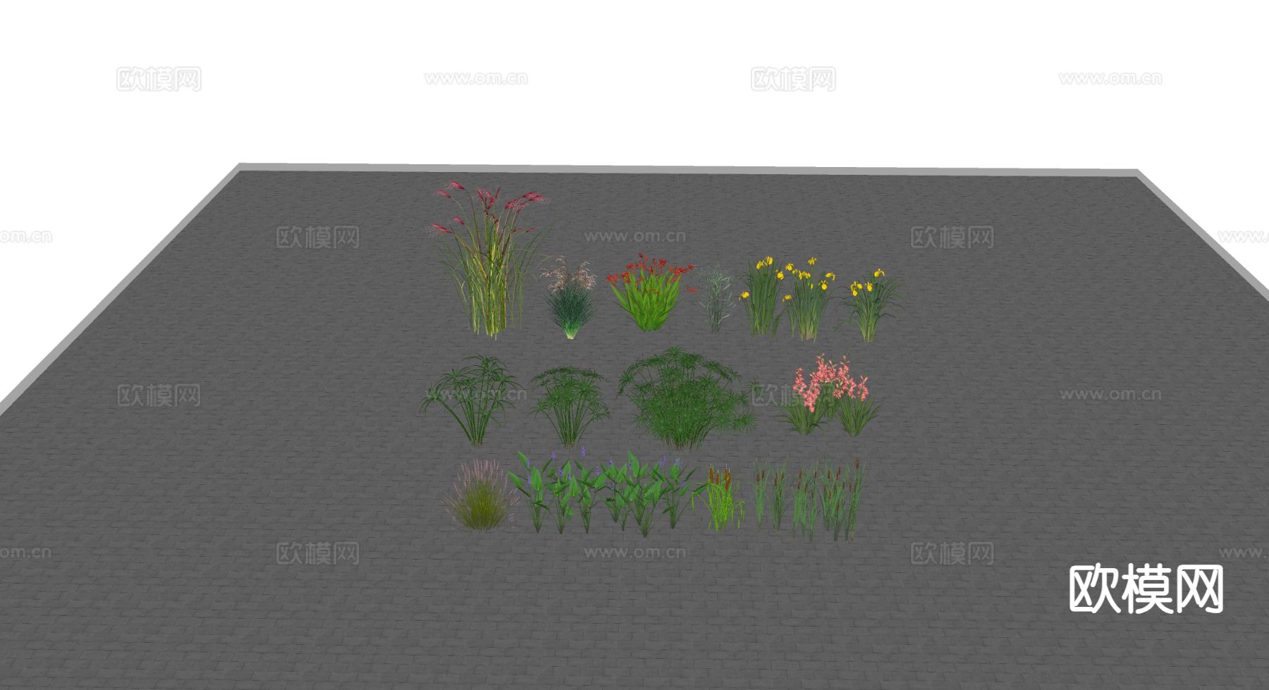 水生植物 草花 梭鱼草su模型下载（渲染图1）