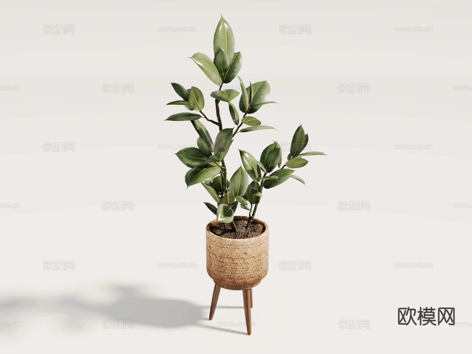 植物盆栽 绿植3d模型