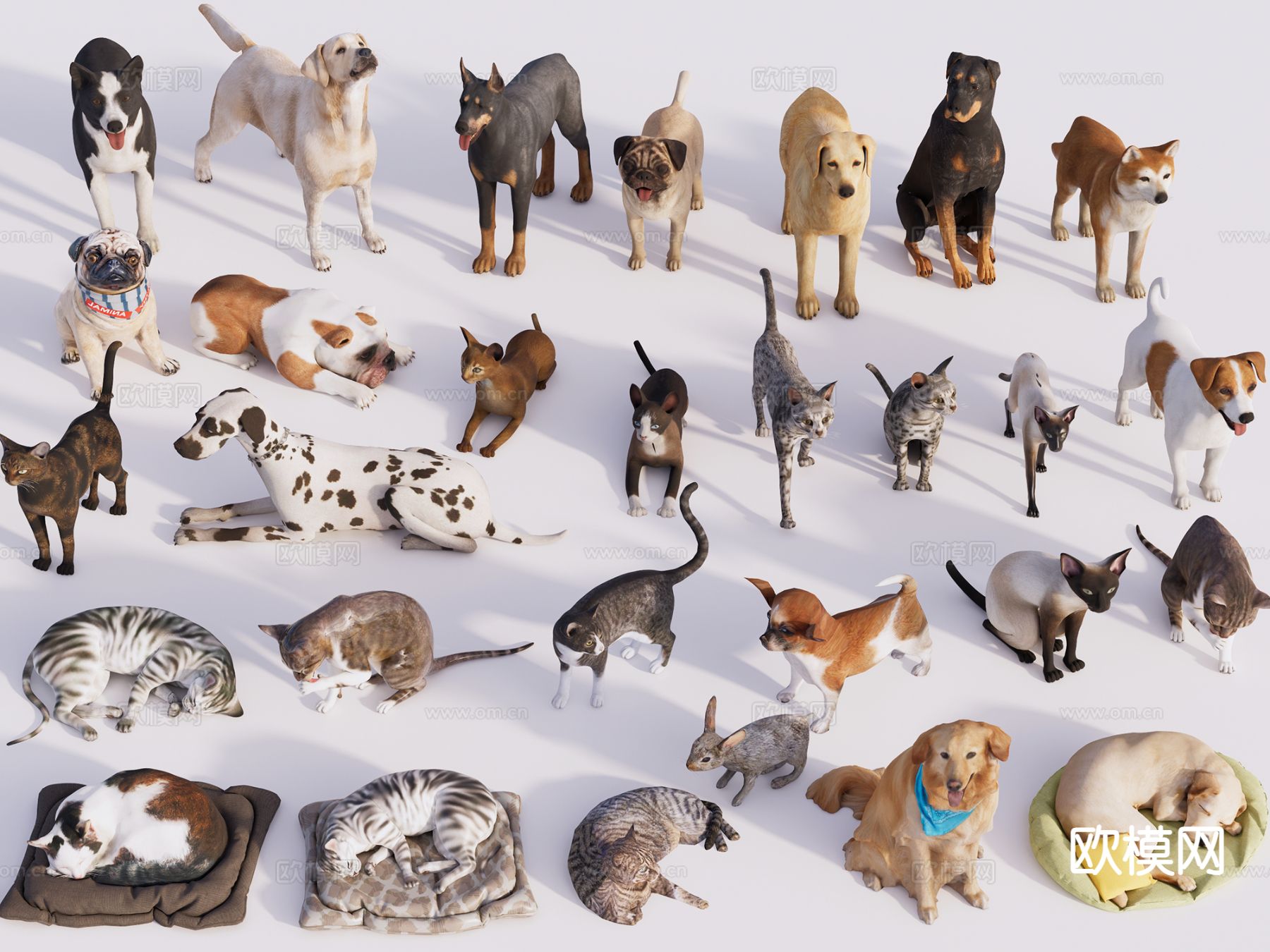 现代宠物组合 宠物猫 宠物狗 动物su模型下载（渲染图2）