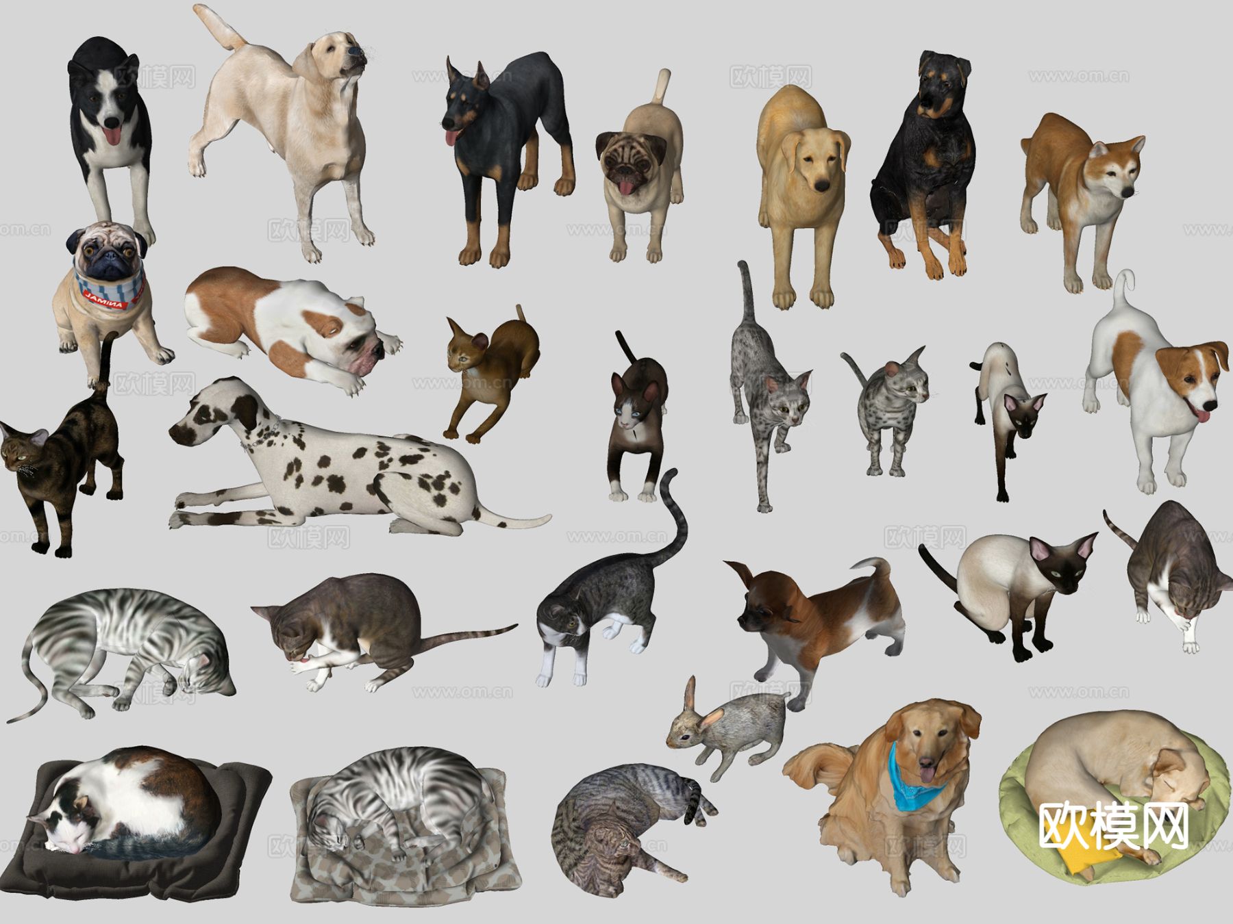 现代宠物组合 宠物猫 宠物狗 动物su模型下载（渲染图1）