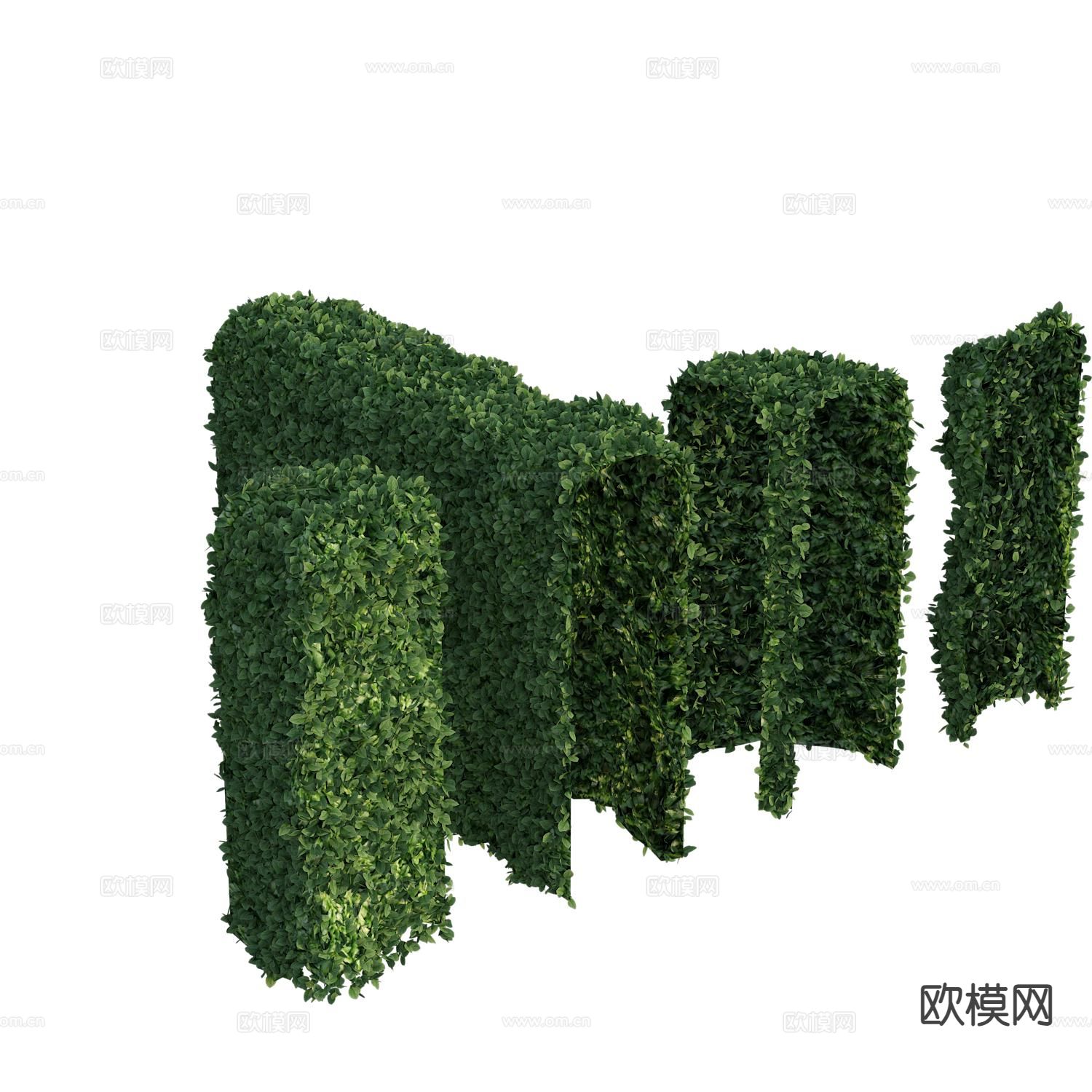 植物墙 灌木绿篱3d模型