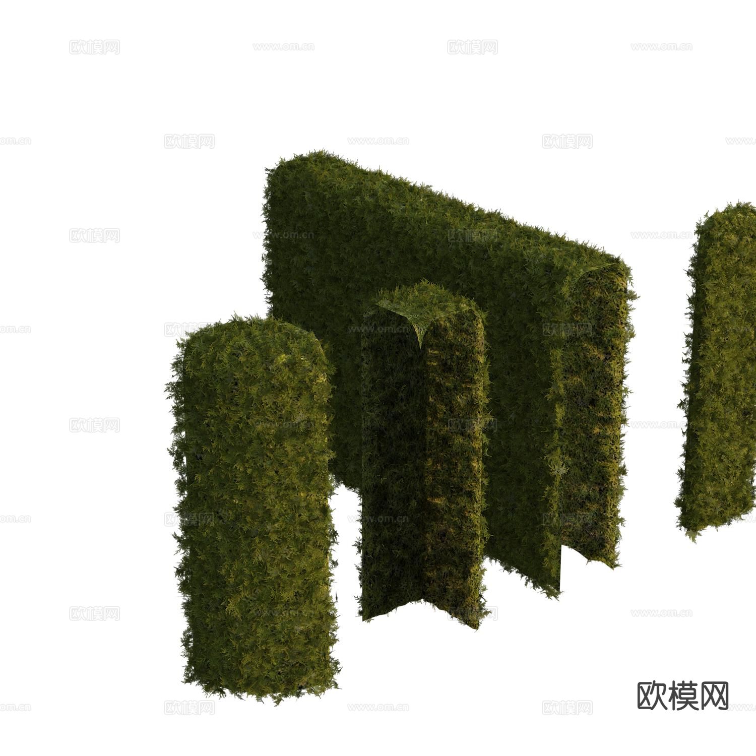 植物墙 灌木绿篱3d模型