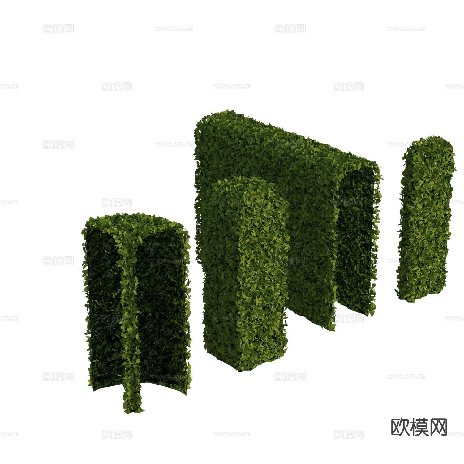 植物墙 灌木绿篱3d模型