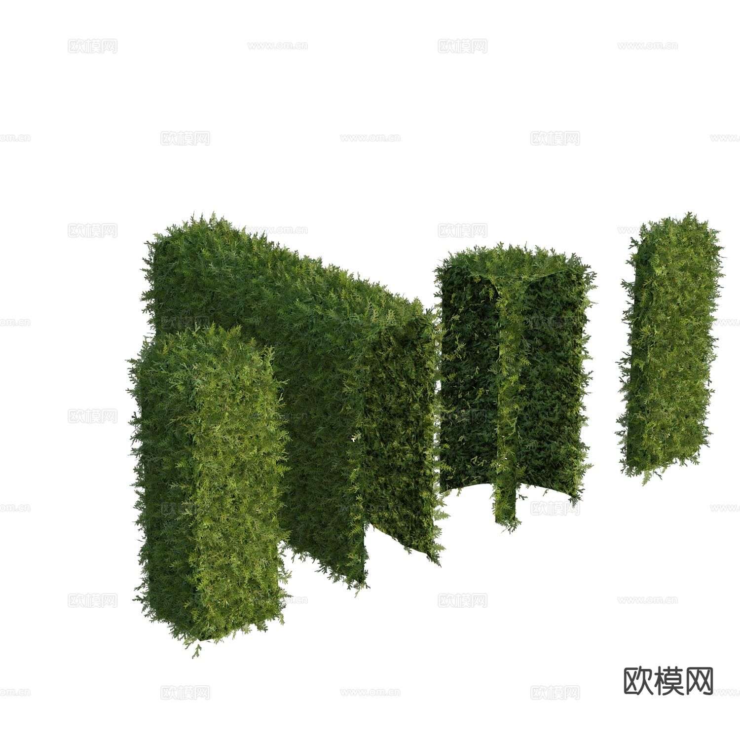 植物墙 灌木绿篱3d模型