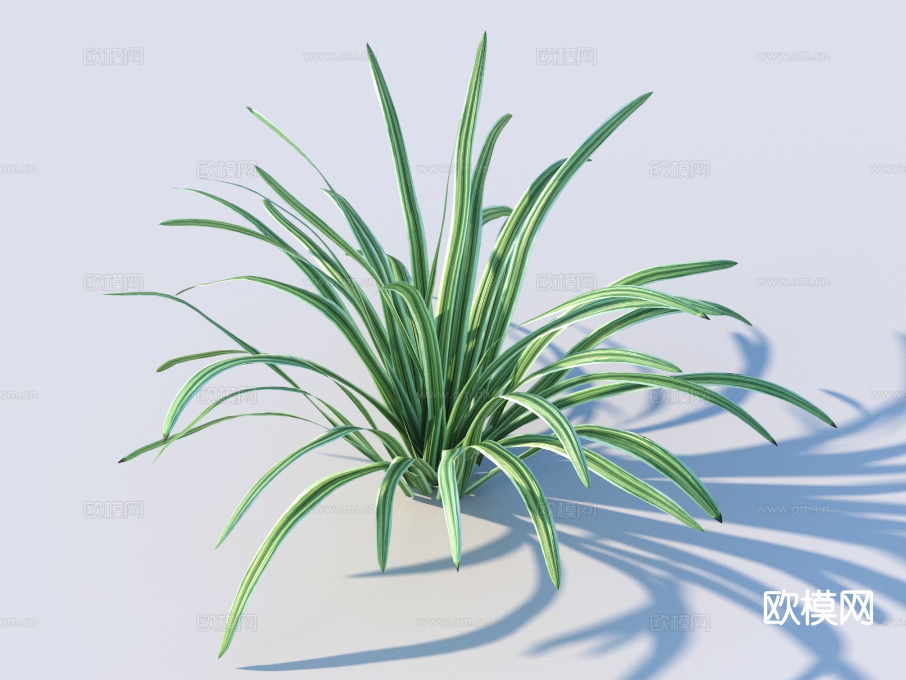 草 植物 绿植3d模型