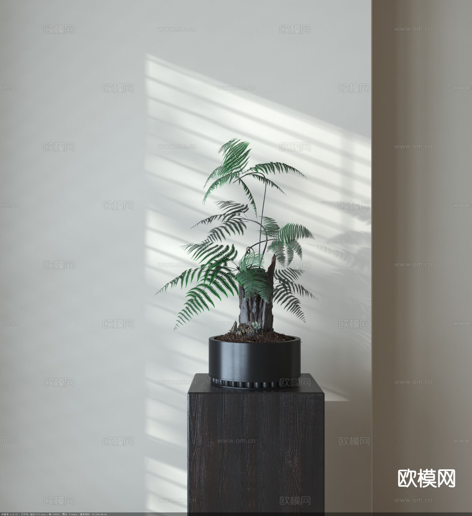 蕨类盆栽 植物盆栽3d模型