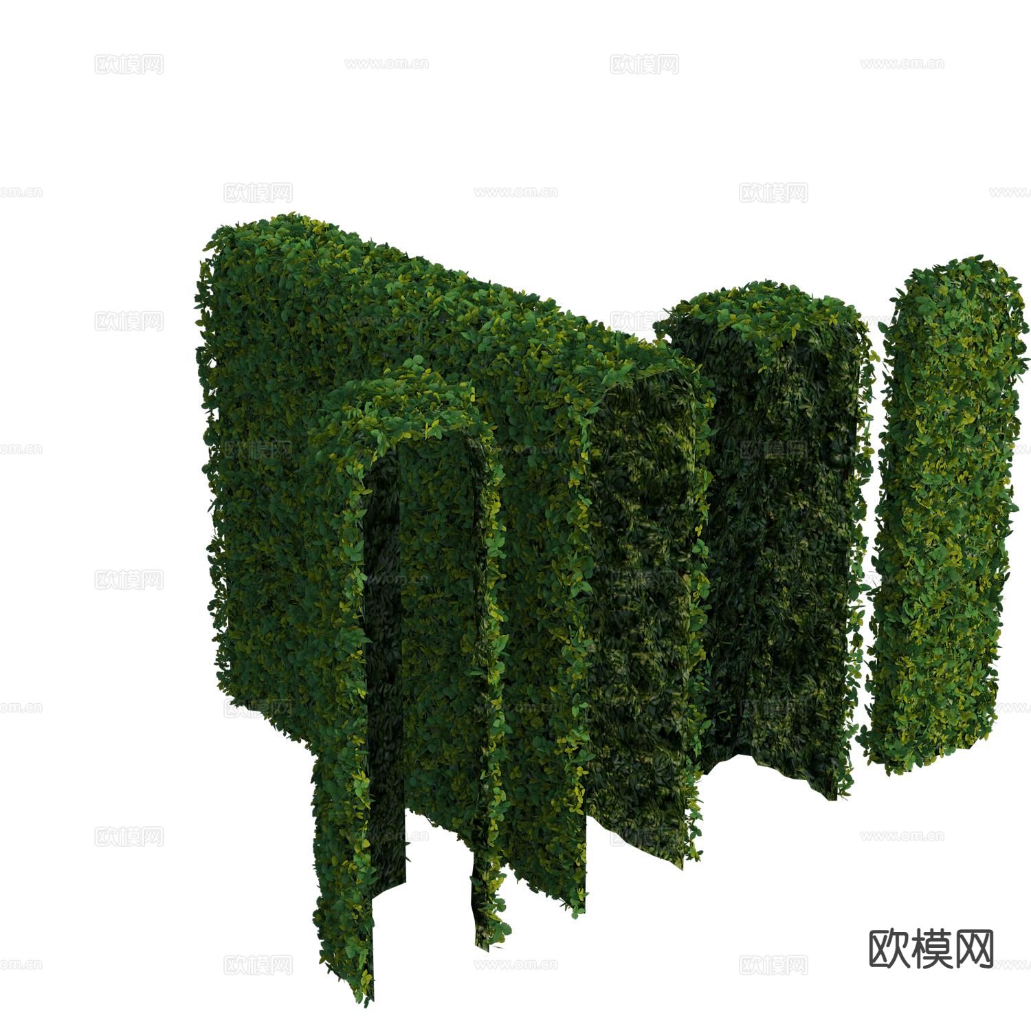 植物墙 灌木绿篱3d模型