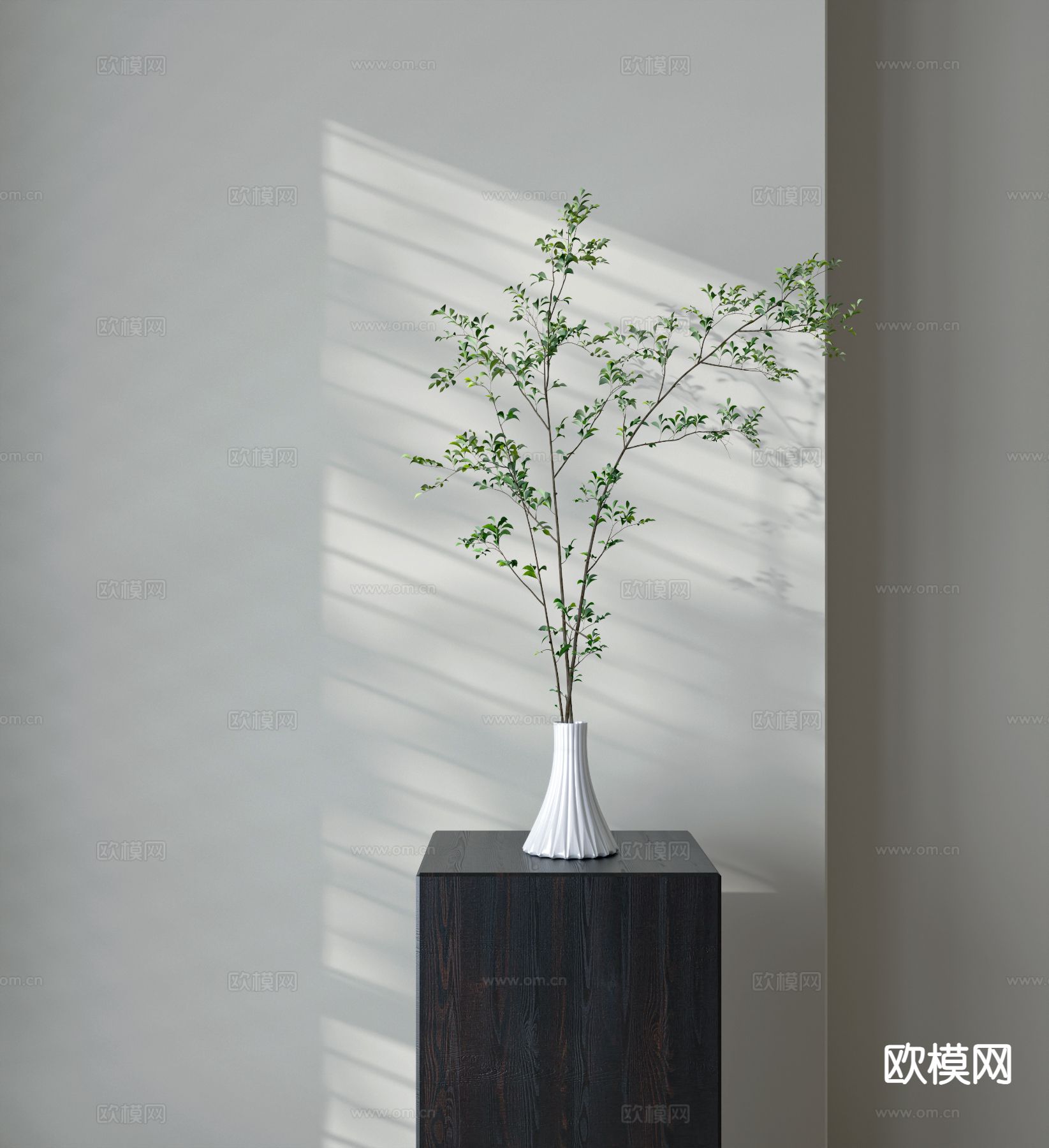 水生植物 绿植3d模型