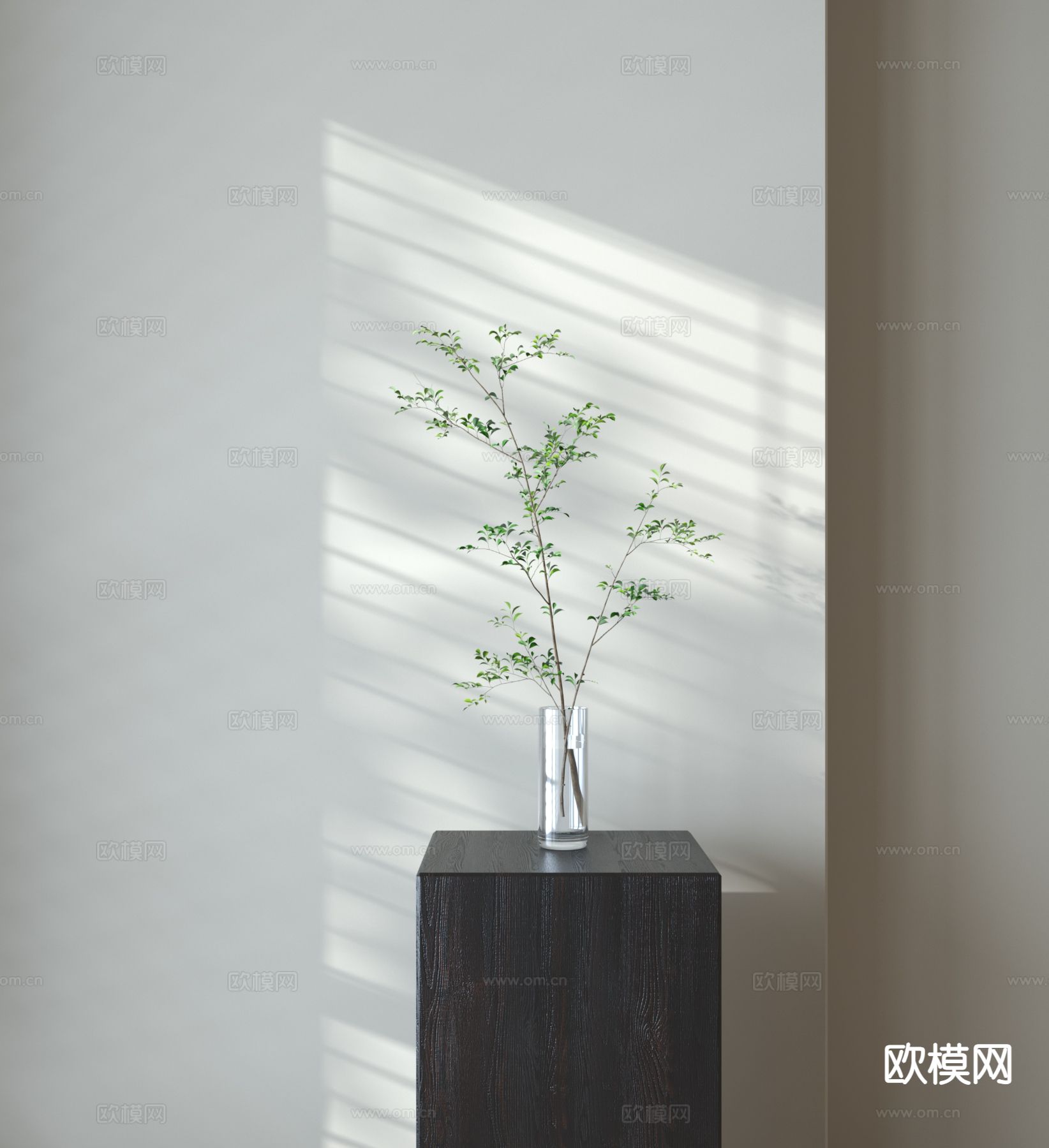 水生植物 绿植3d模型