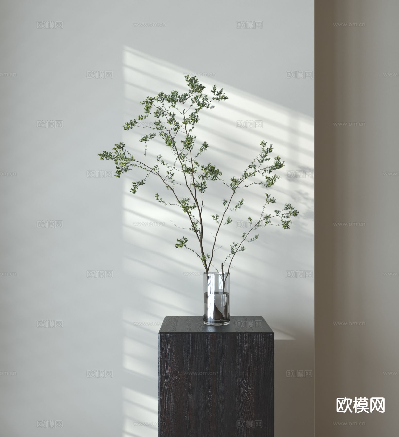 水生植物 绿植3d模型