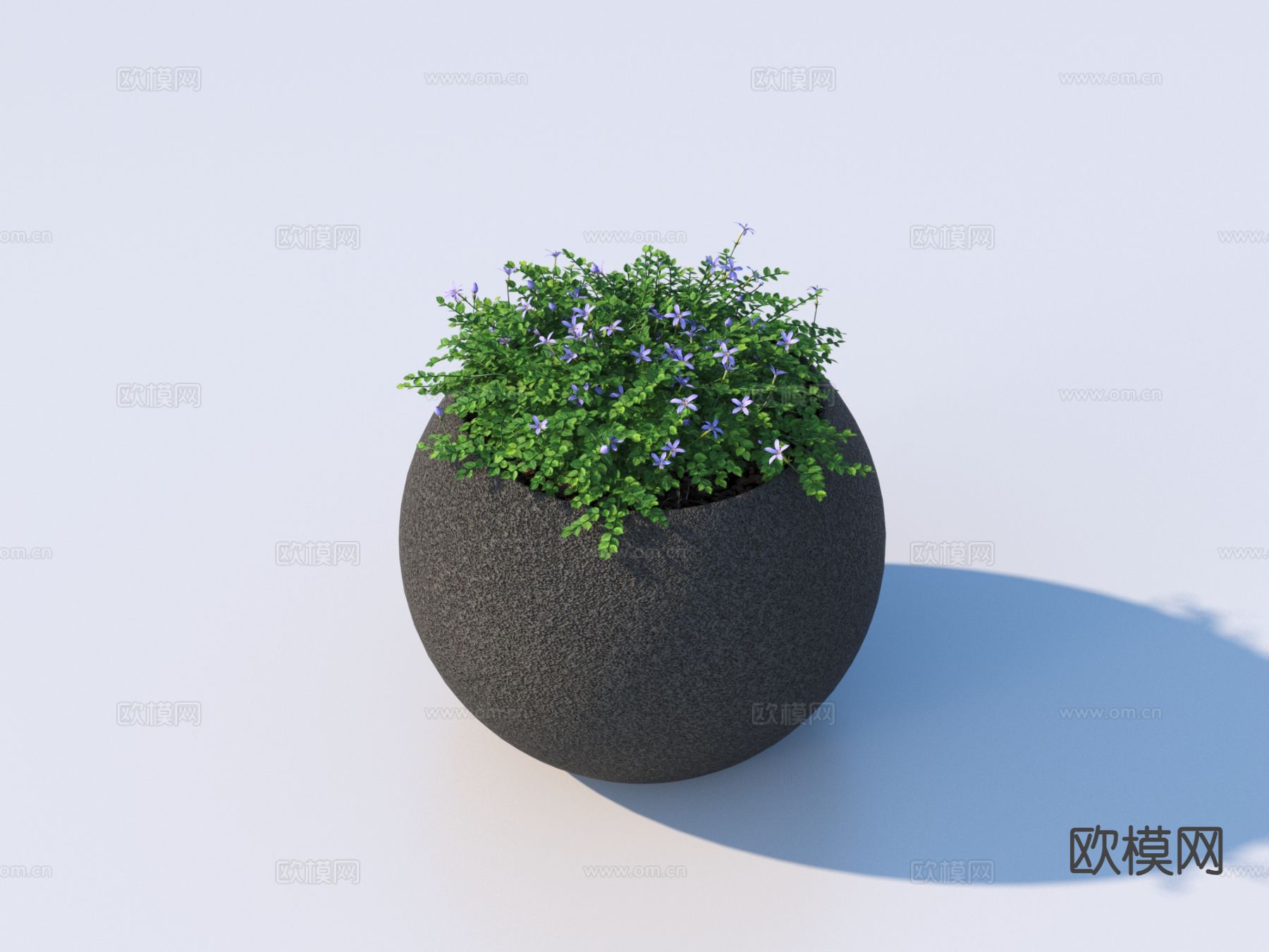 花盆 盆栽 绿植3d模型