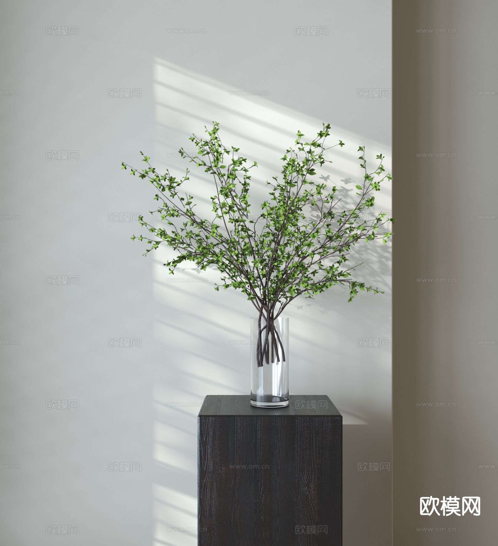 水生植物 绿植3d模型