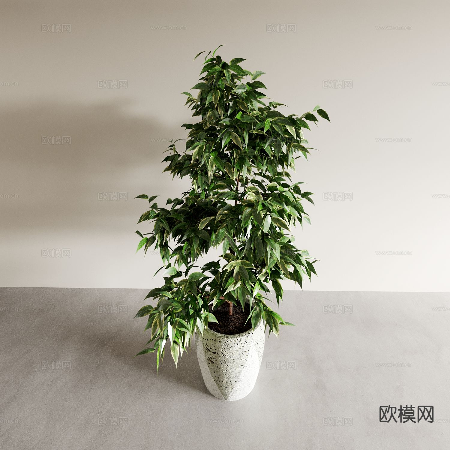 盆景盆栽 室内绿植 植物摆件3d模型