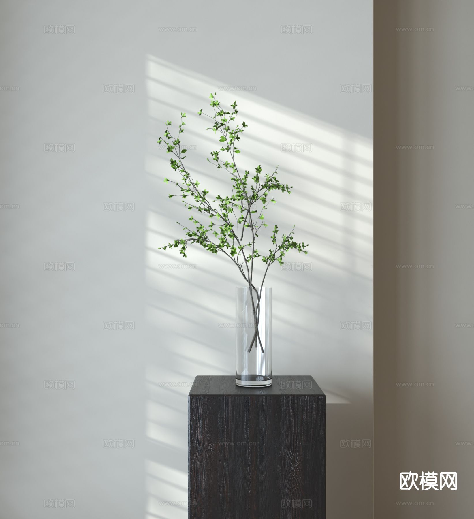 水生植物 绿植3d模型