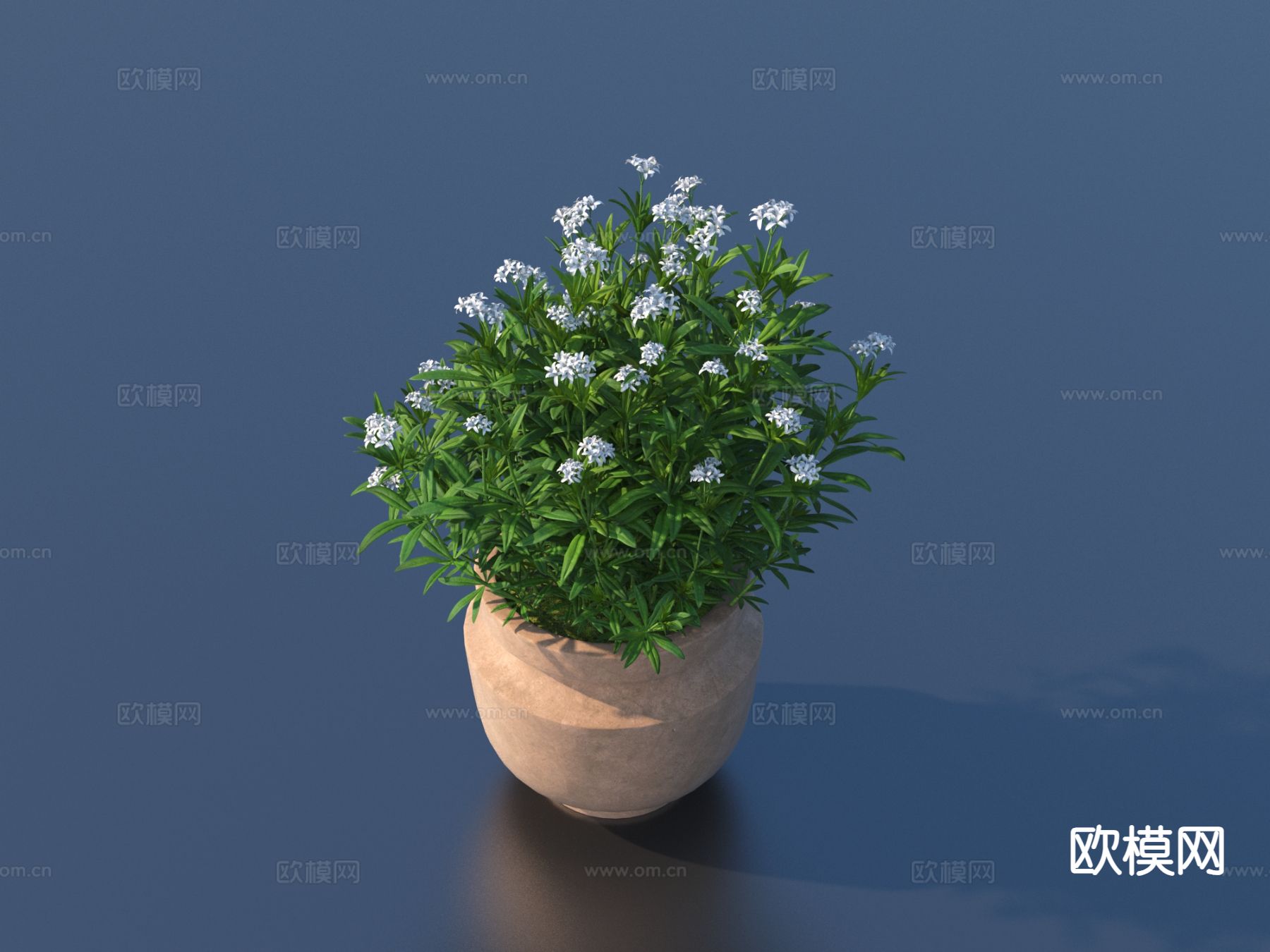 花盆 盆栽 绿植3d模型