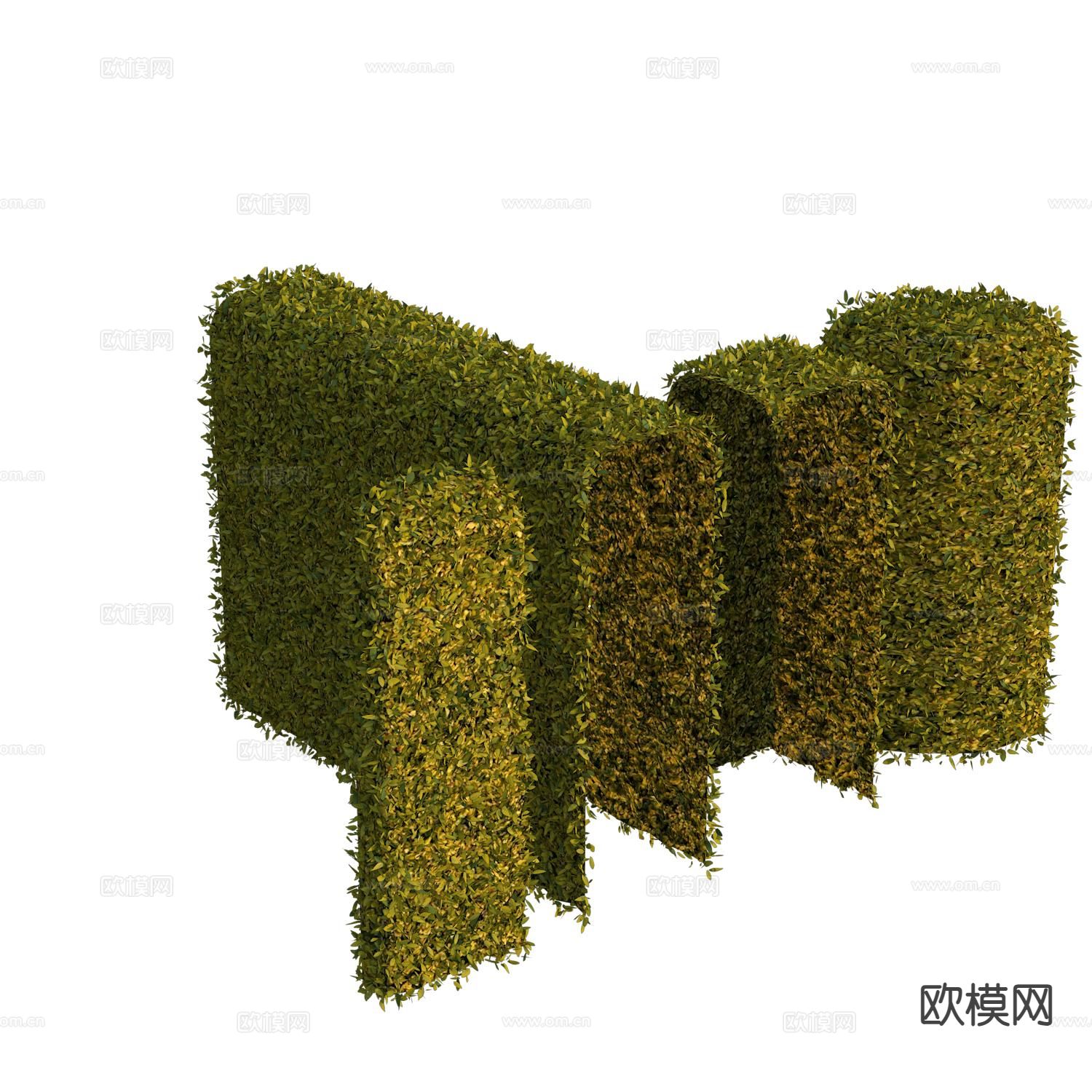 造型灌木 植物墙 灌木绿篱3d模型