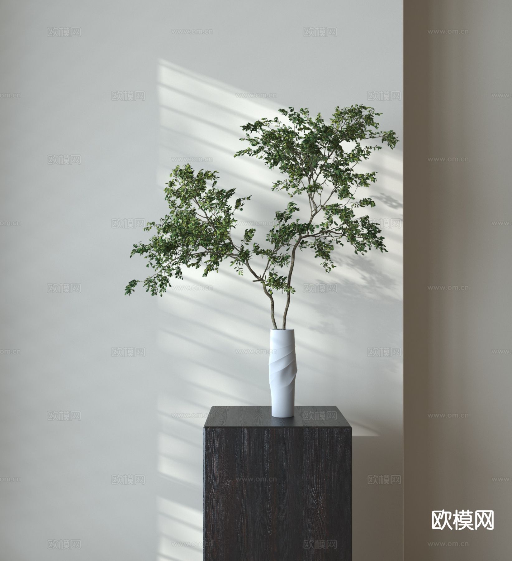 水生植物 绿植3d模型