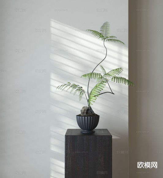 中古风盆栽 绿植3d模型下载