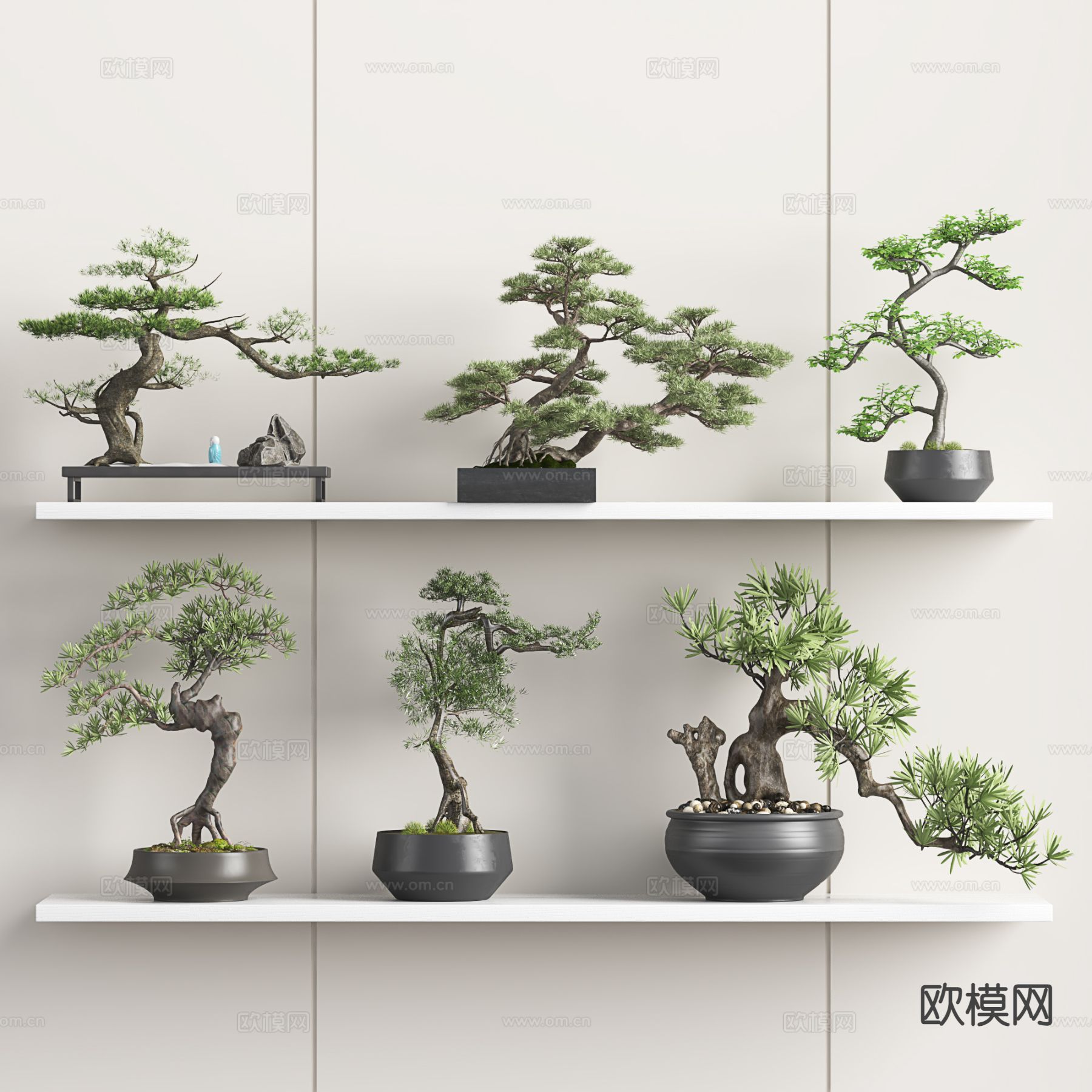 新中式盆栽 迎客松盆景 罗汉松盆景3d模型