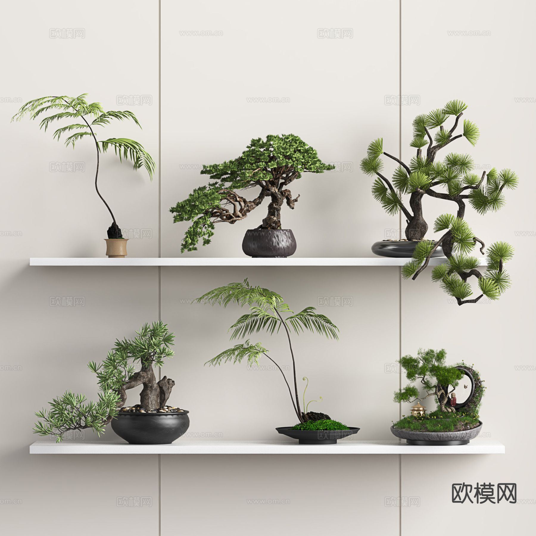 新中式盆景 迎客松盆景 罗汉松 蕨类3d模型