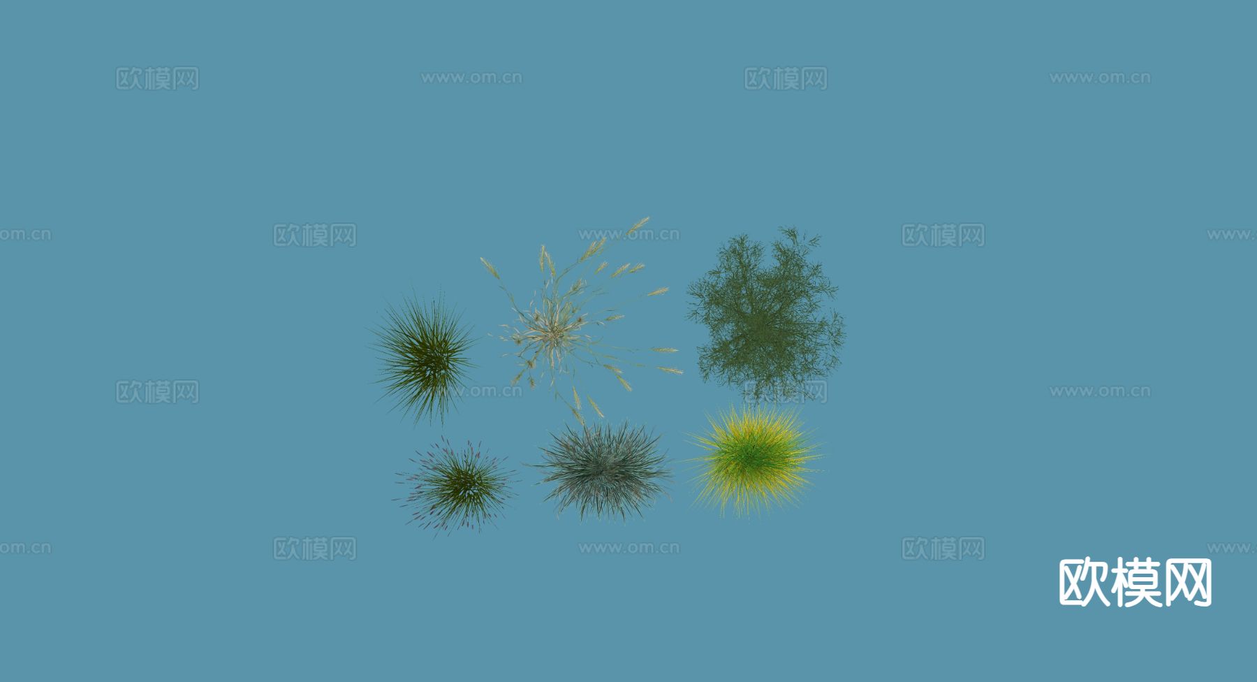 芦苇 麦穗 稻田su模型下载（渲染图1）