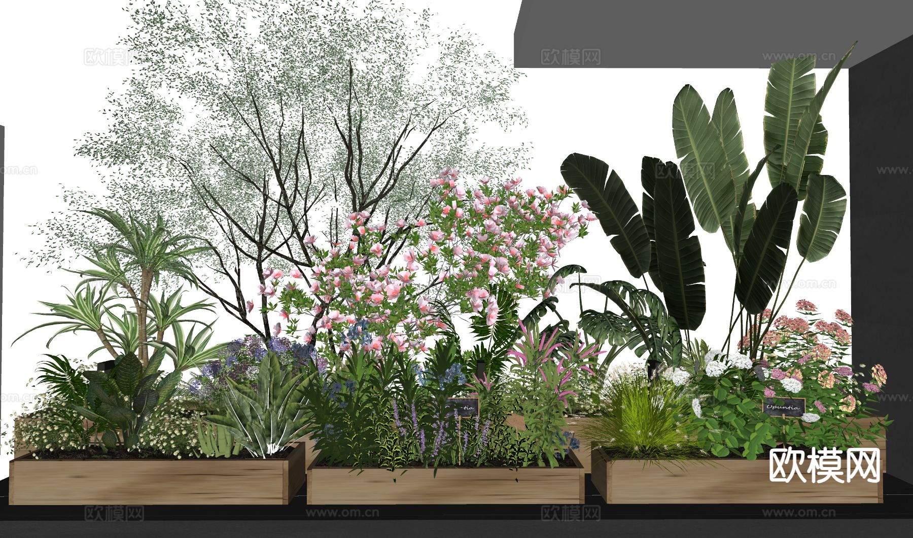 植物花箱 花坛 花槽su模型下载（渲染图1）