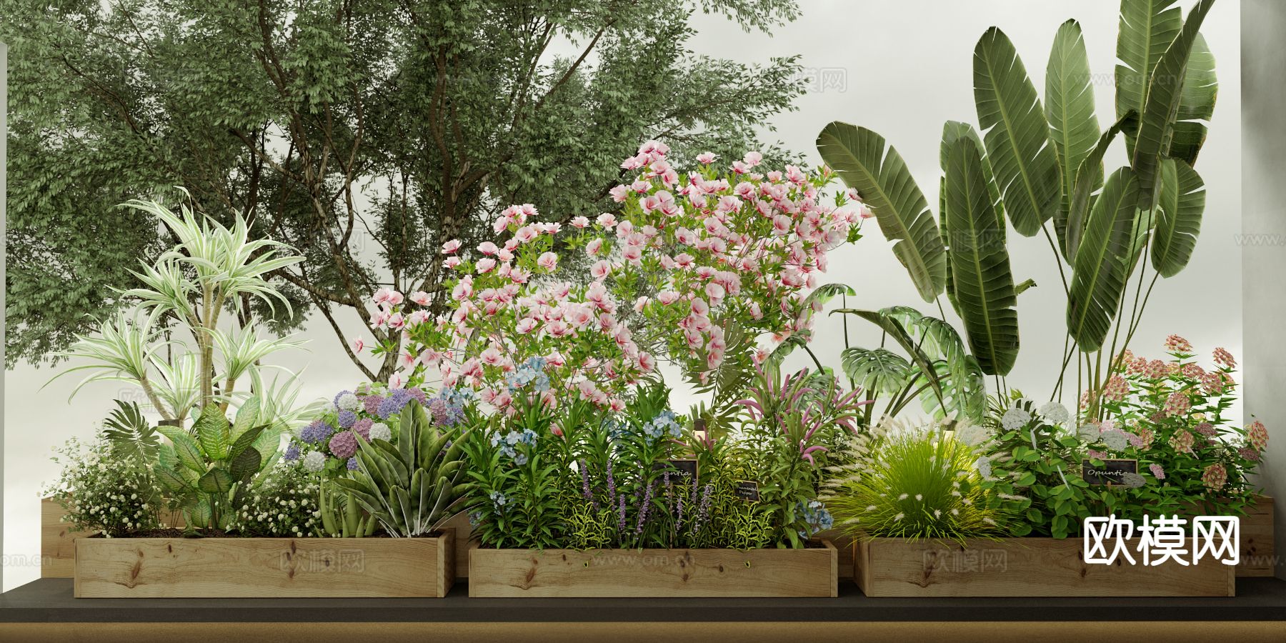 植物花箱 花坛 花槽su模型下载（渲染图2）