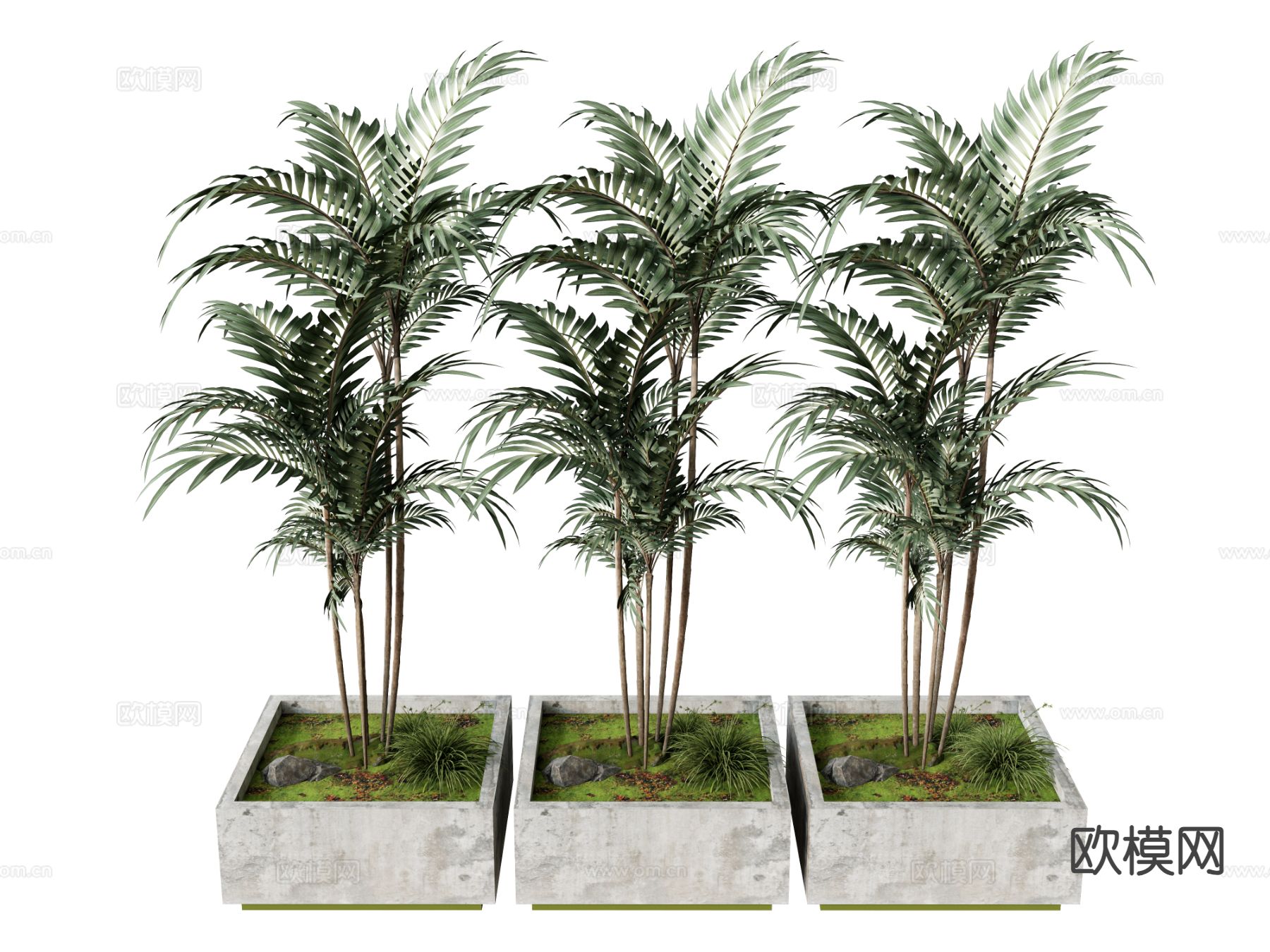 橡树su模型下载（渲染图2）