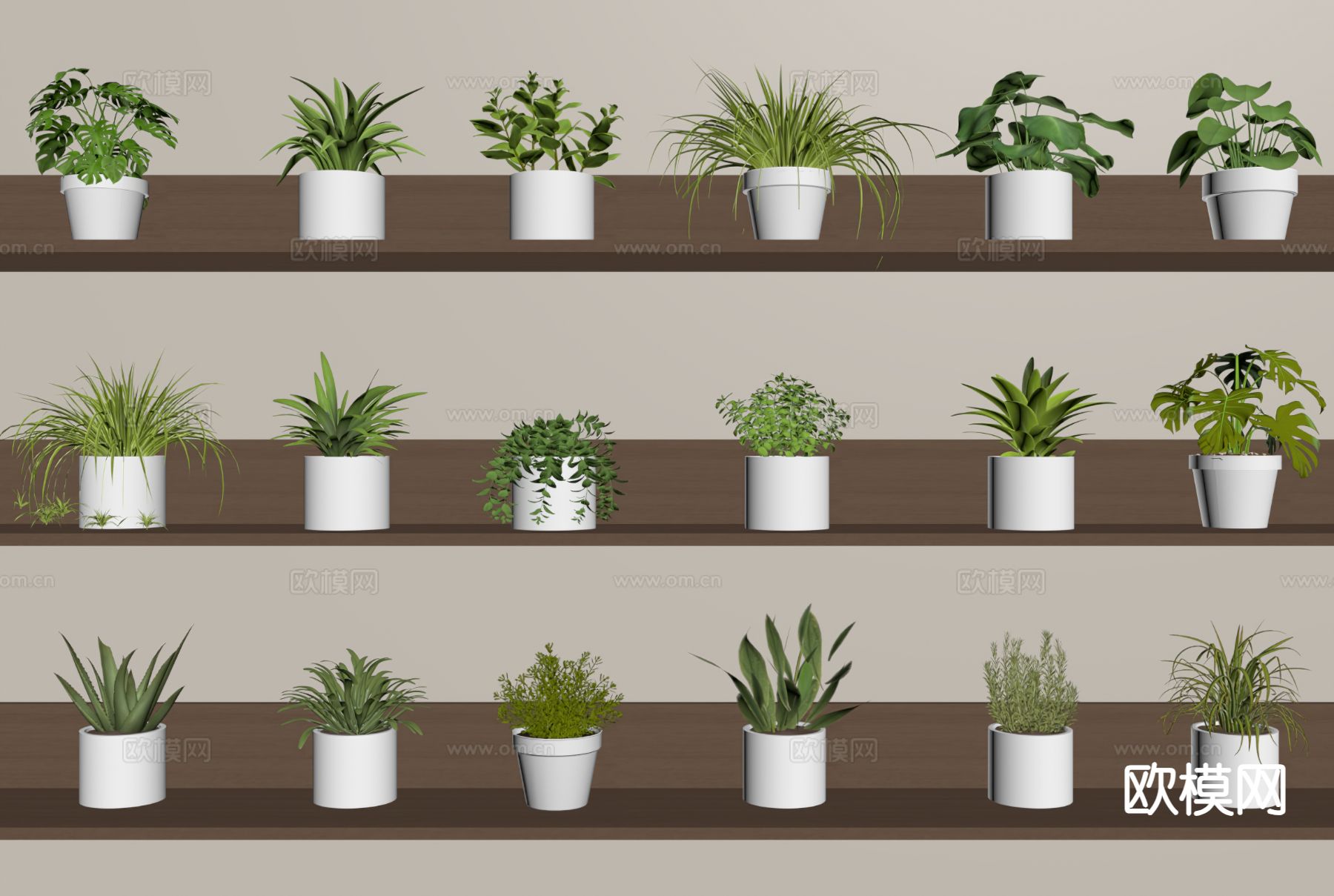 植物盆栽 龟背竹 芦荟 绿植su模型下载（渲染图1）