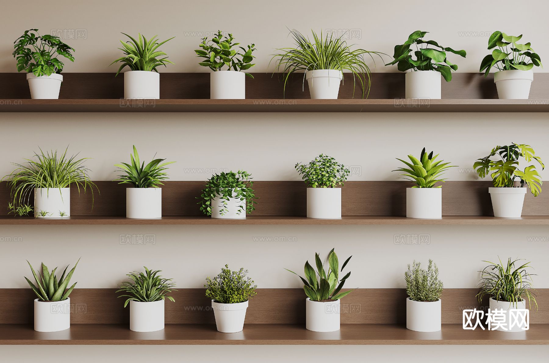 植物盆栽 龟背竹 芦荟 绿植su模型下载（渲染图2）