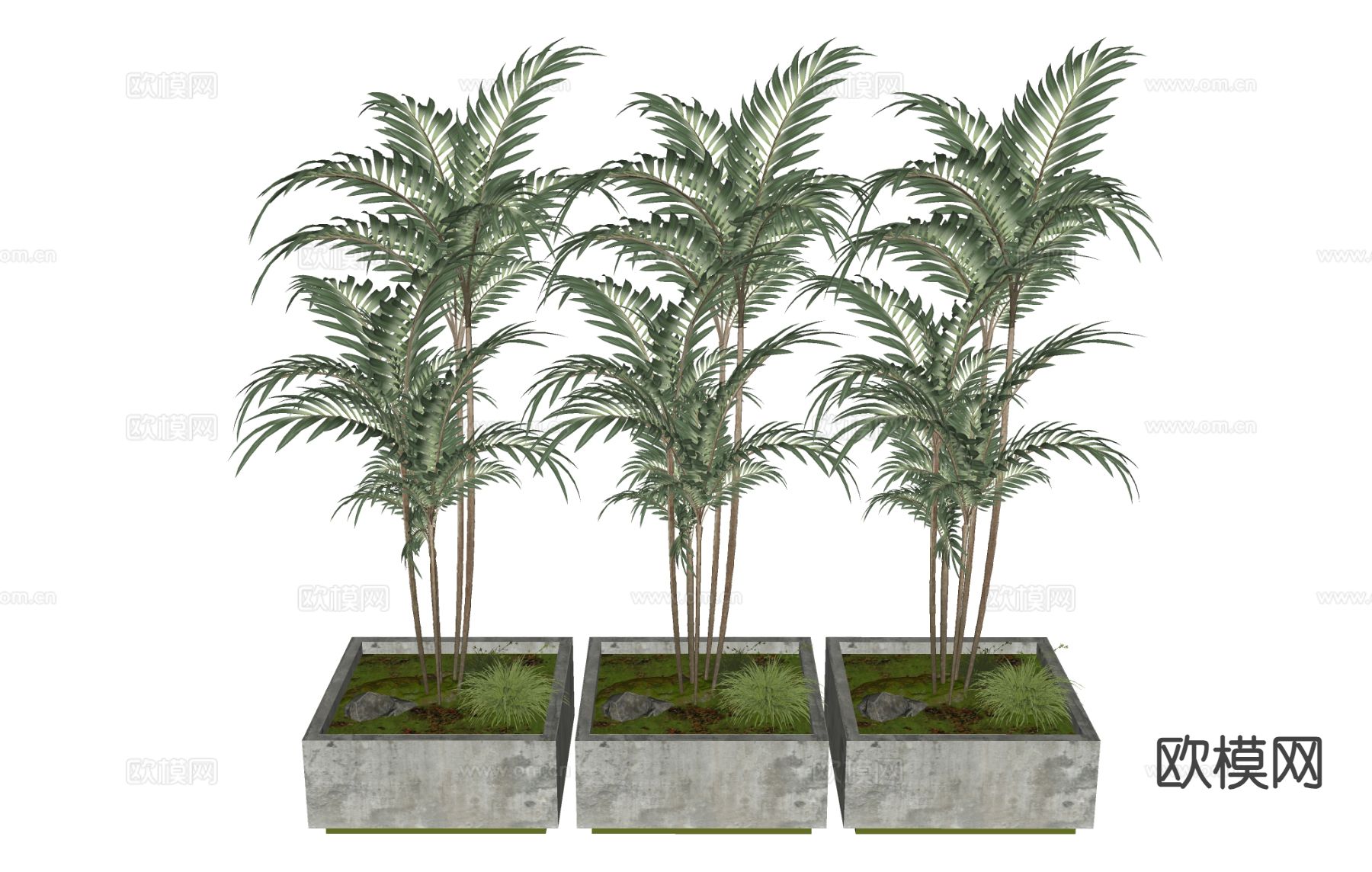 橡树su模型下载（渲染图1）