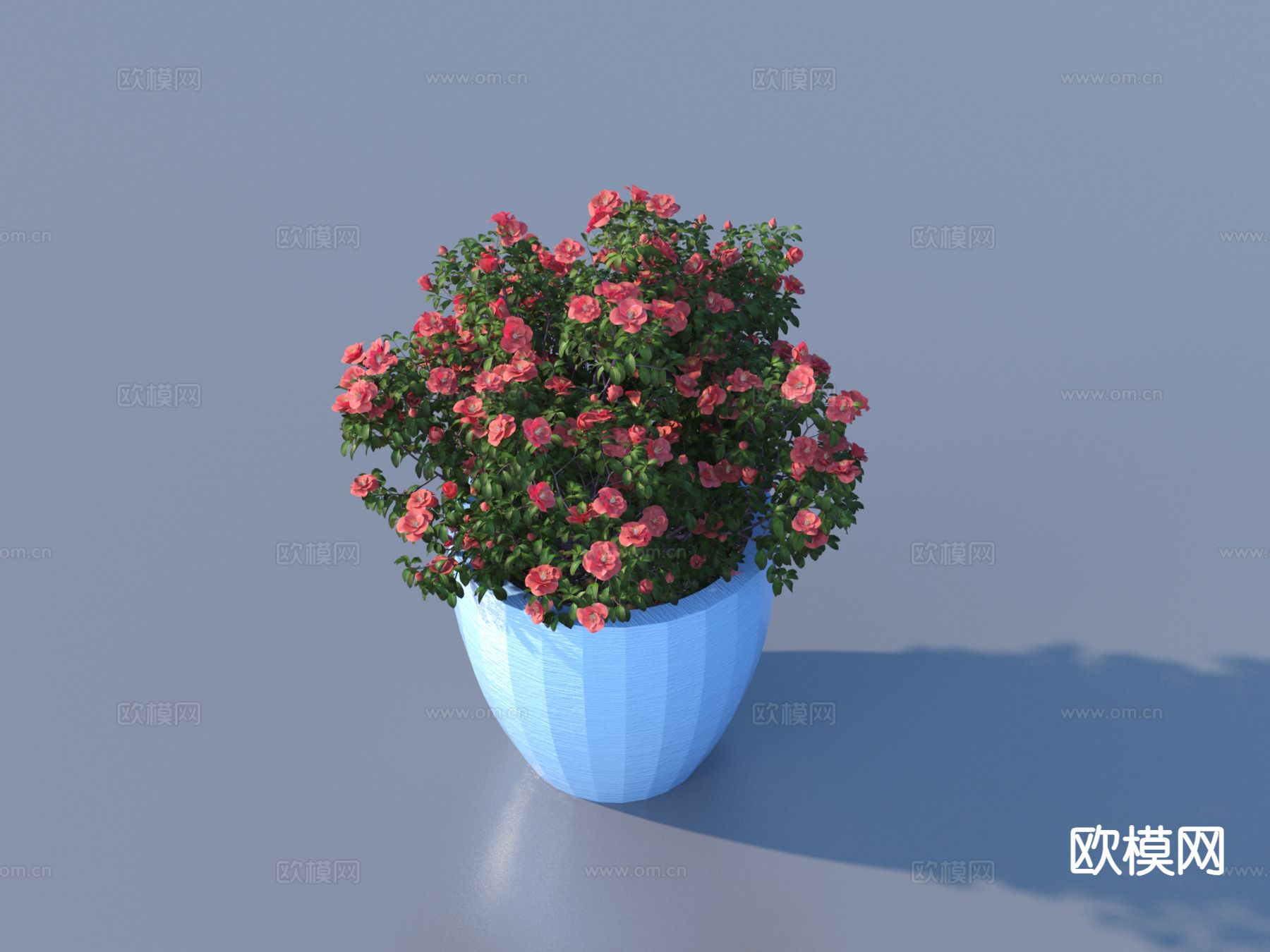 花盆 盆栽3d模型