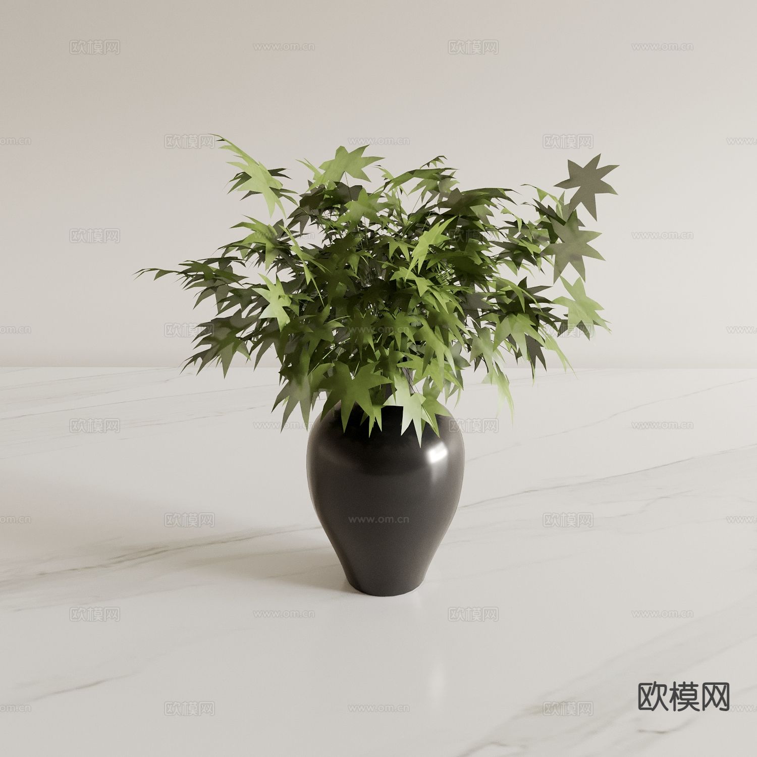 水培绿植 花瓶 花艺3d模型