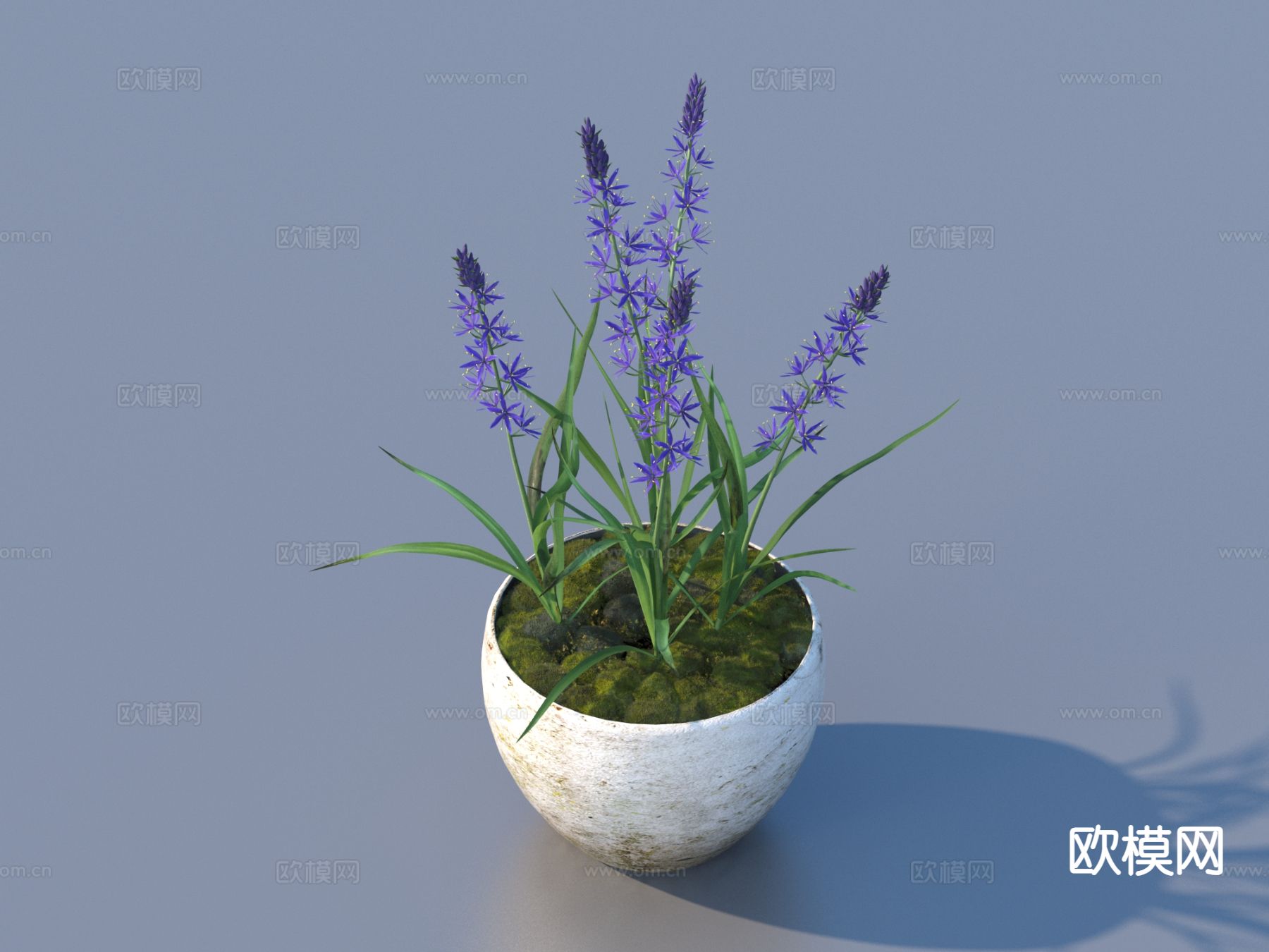 花盆 盆栽3d模型