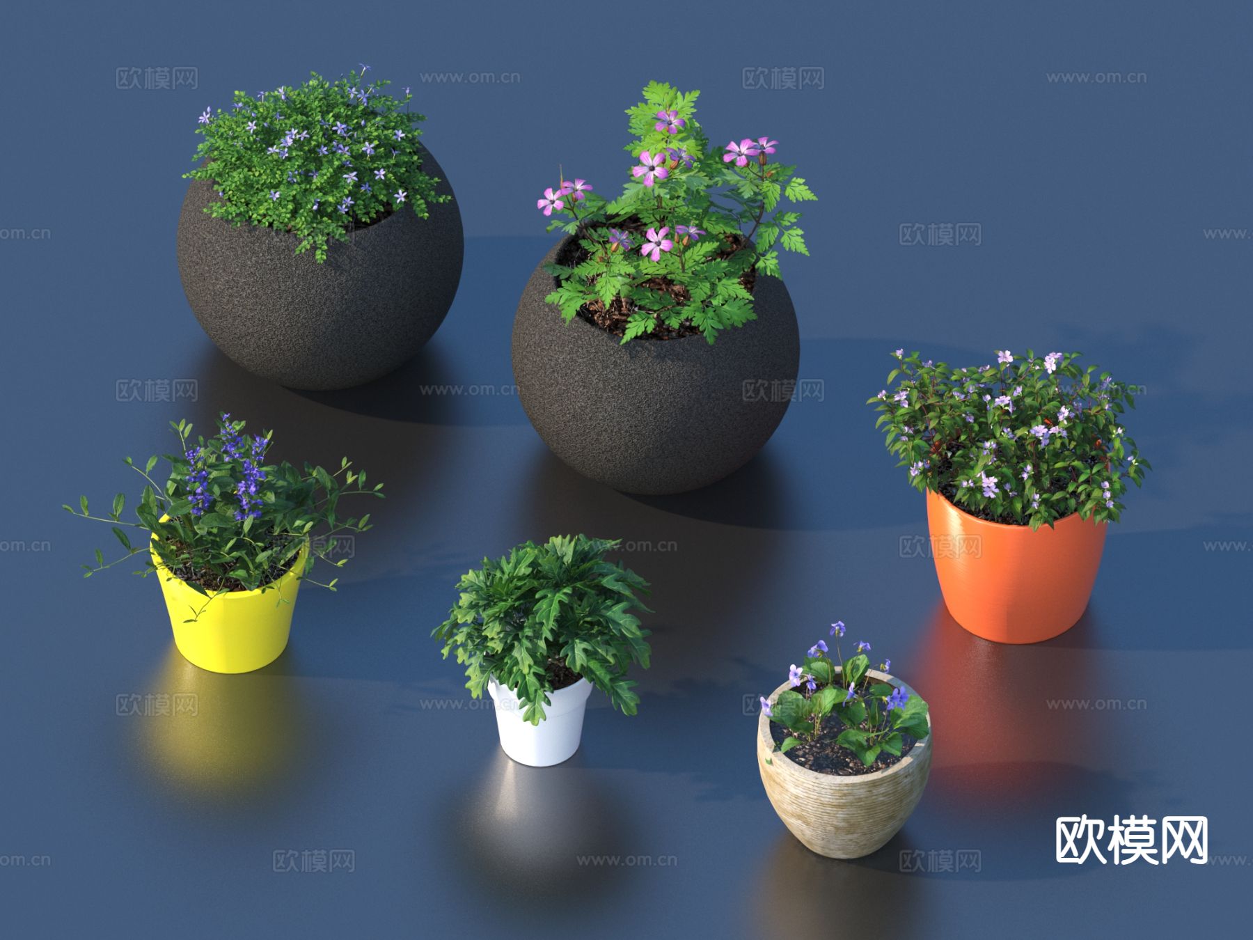 花盆 盆栽 绿植 植物3d模型