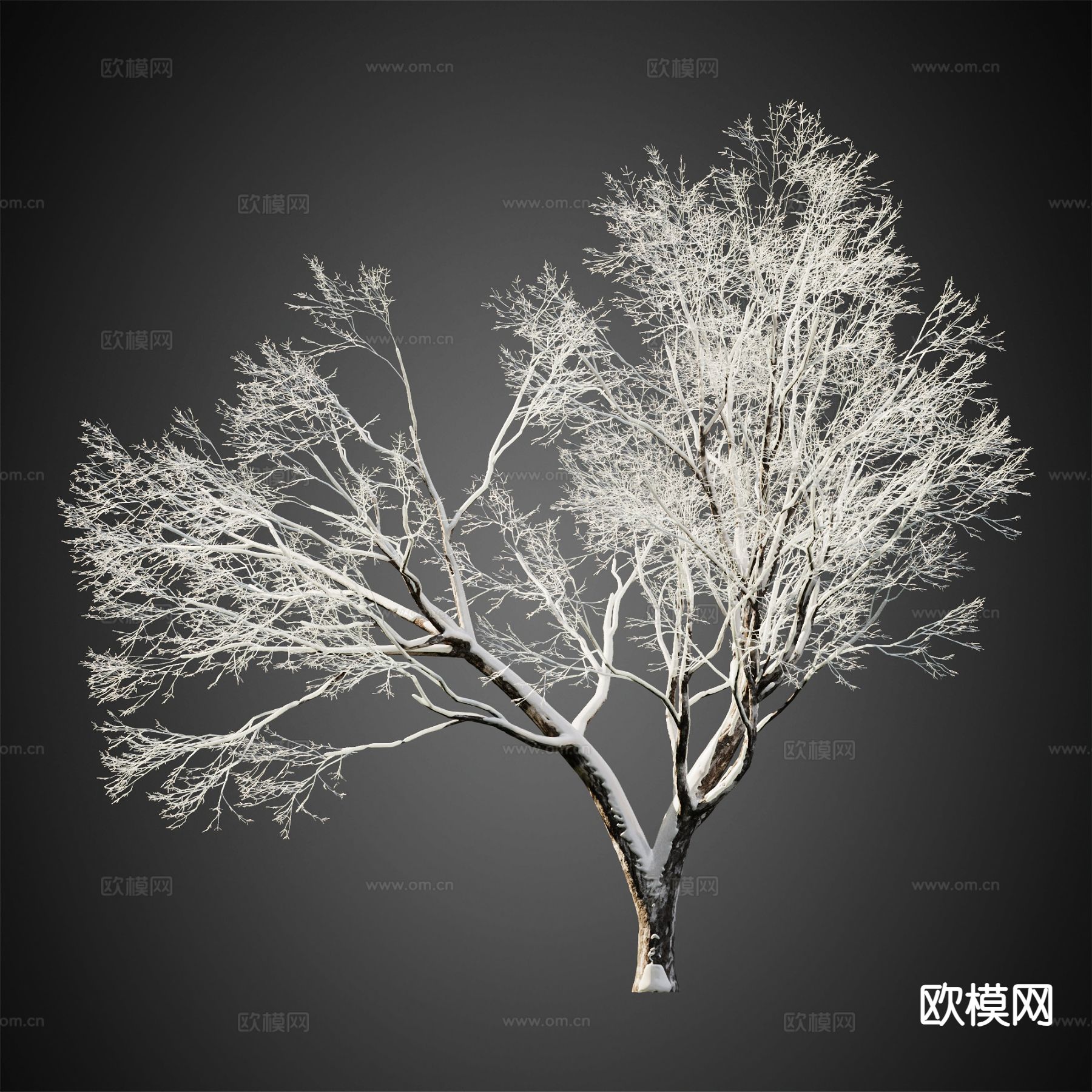 积雪树木 冬季树木 景观树3d模型